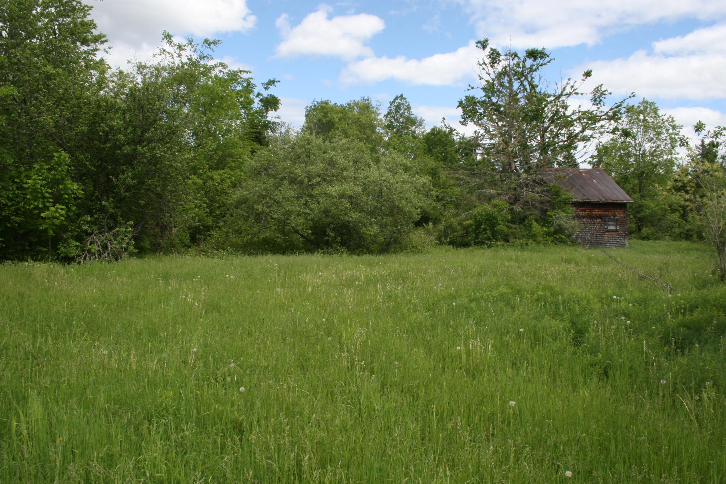 0 Roix Road New Limerick, ME 04761 - Photo 2 of 22 IMG_3616