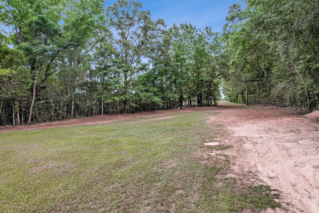 401 Macedonia Road Hartford, AL 36344 - Photo 55 of 61