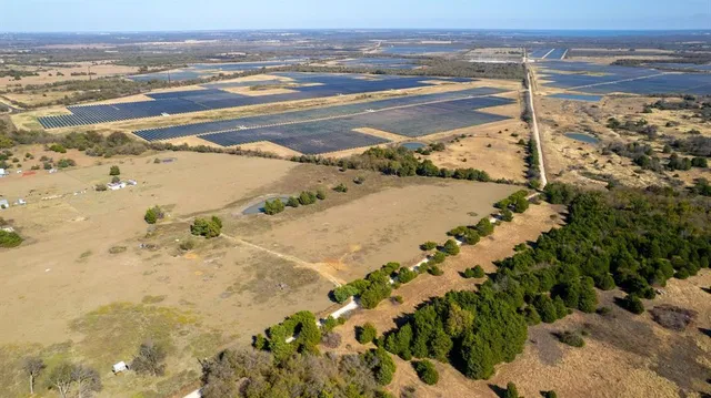 a view of a flower in a yard