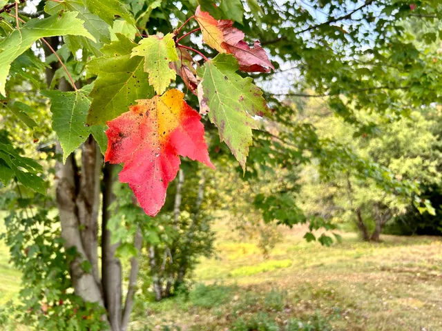 $750,000 | 3622 Dorset West Road, Dorset, VT 05251