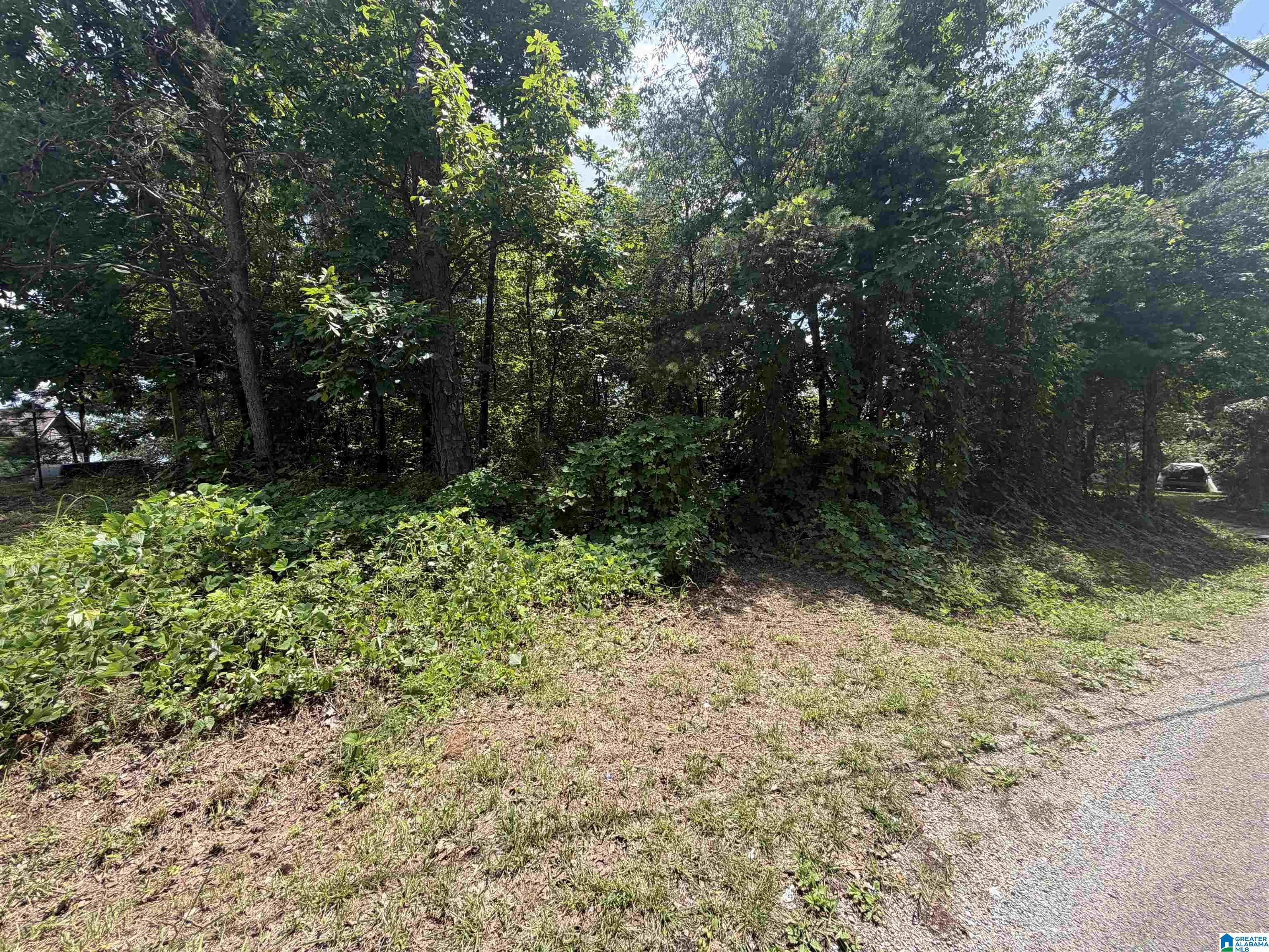 0 Holliday Drive, Unit 6 Oneonta, AL 35121 - Photo 2 of 3