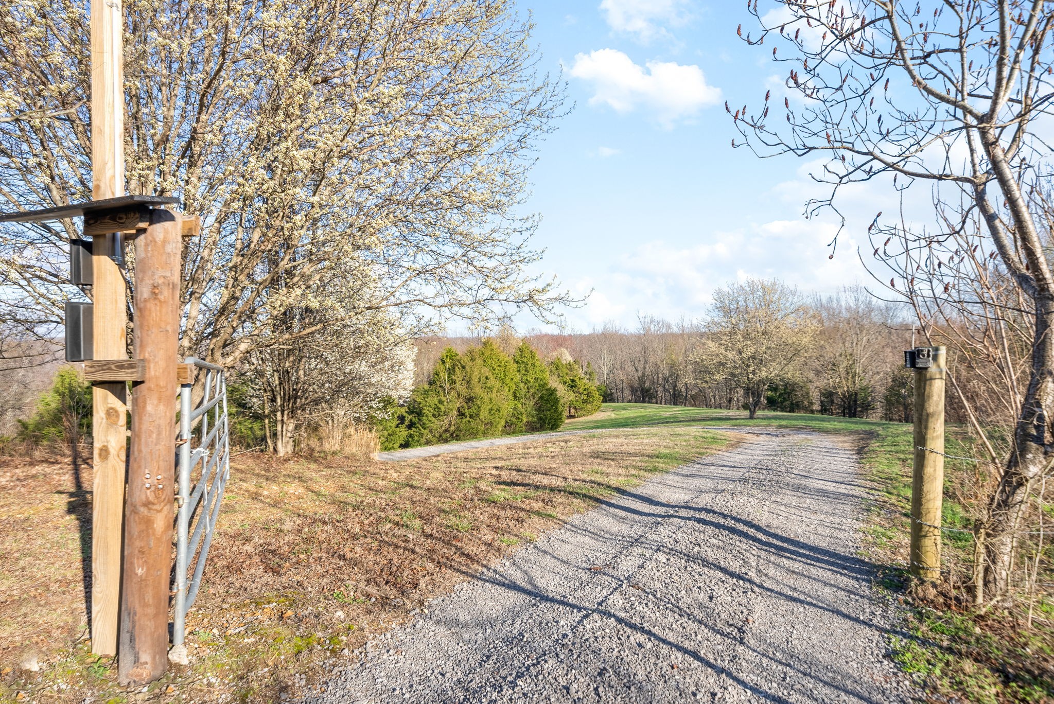 1166 Dale Ridge Road Dowelltown, TN 37059 - Photo 23 of 69 a view of a yard with plants and trees