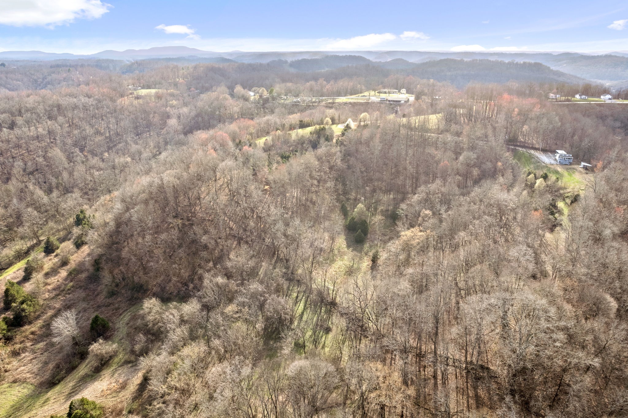 1166 Dale Ridge Road Dowelltown, TN 37059 - Photo 25 of 69 a view of city and green space