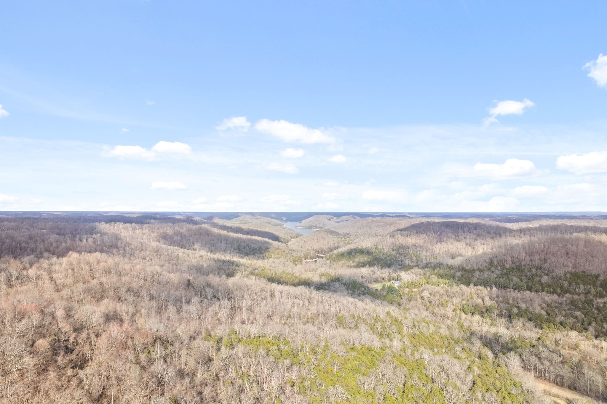 1166 Dale Ridge Road Dowelltown, TN 37059 - Photo 26 of 69