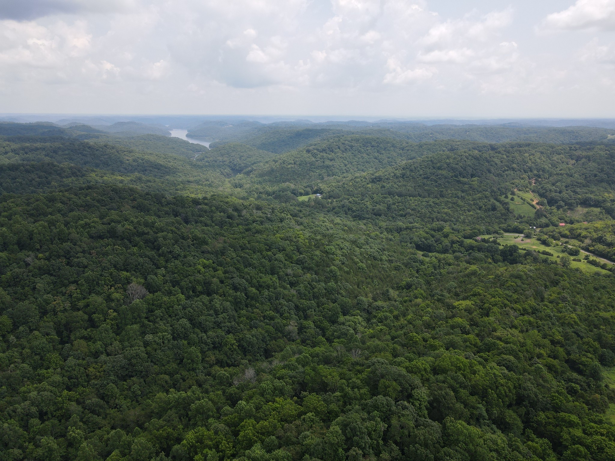 1166 Dale Ridge Road Dowelltown, TN 37059 - Photo 35 of 69 a view of a big yard with lots of bushes