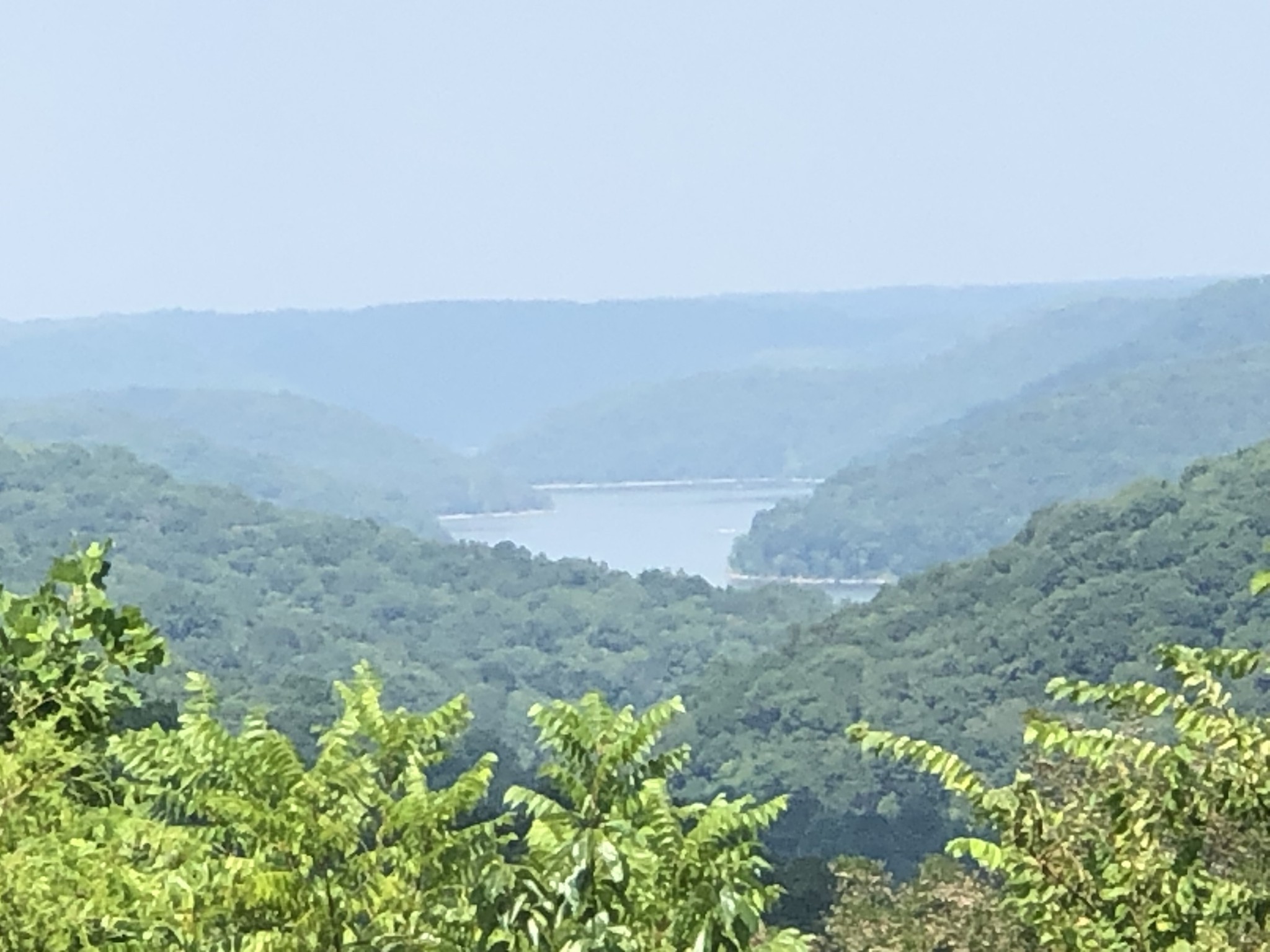 1166 Dale Ridge Road Dowelltown, TN 37059 - Photo 37 of 69 a view of a field of grass and trees