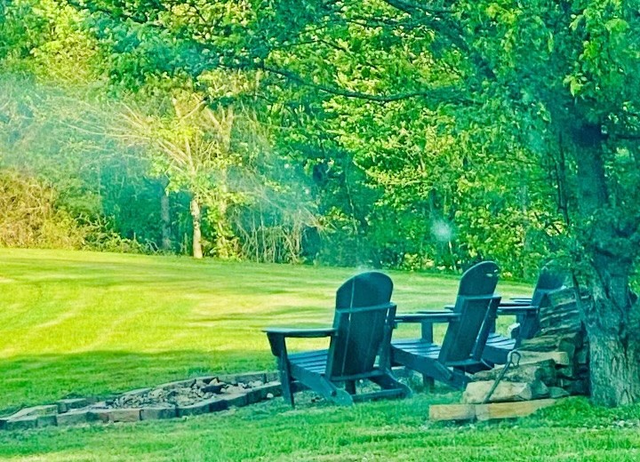 1166 Dale Ridge Road Dowelltown, TN 37059 - Photo 38 of 69 a view of a bench in the garden near a tree