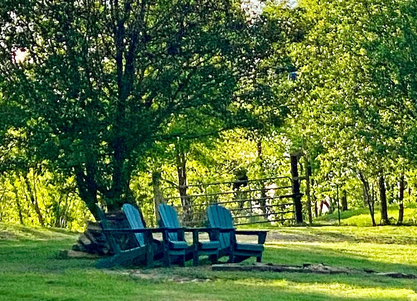 1166 Dale Ridge Road Dowelltown, TN 37059 - Photo 39 of 69 a view of a park with large trees