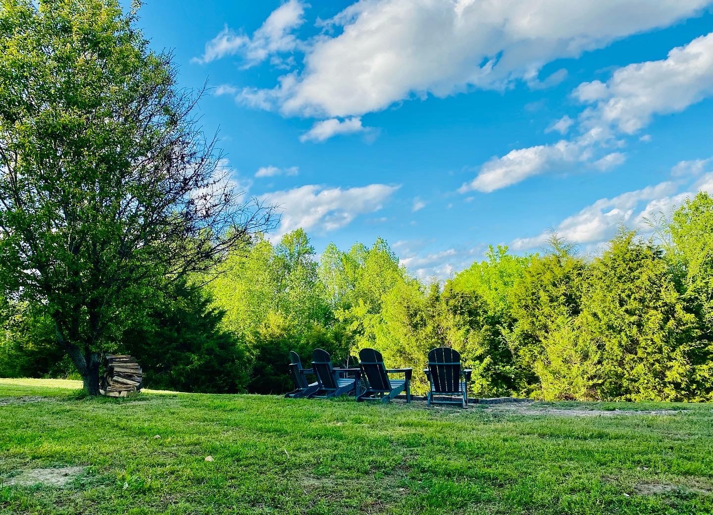 1166 Dale Ridge Road Dowelltown, TN 37059 - Photo 40 of 69 a view of a trees with a big yard