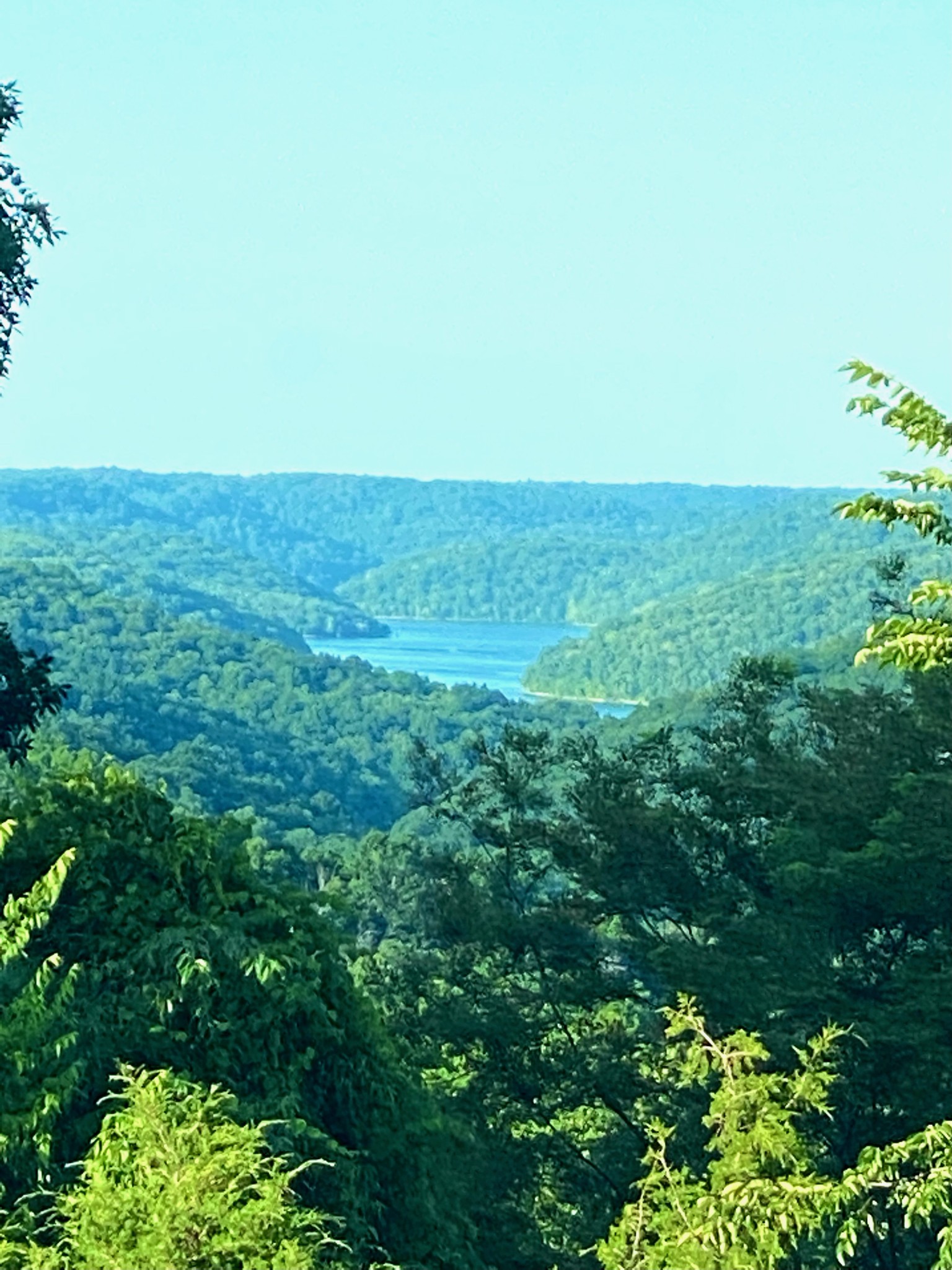 1166 Dale Ridge Road Dowelltown, TN 37059 - Photo 42 of 69 a view of a field with plants and trees in the background