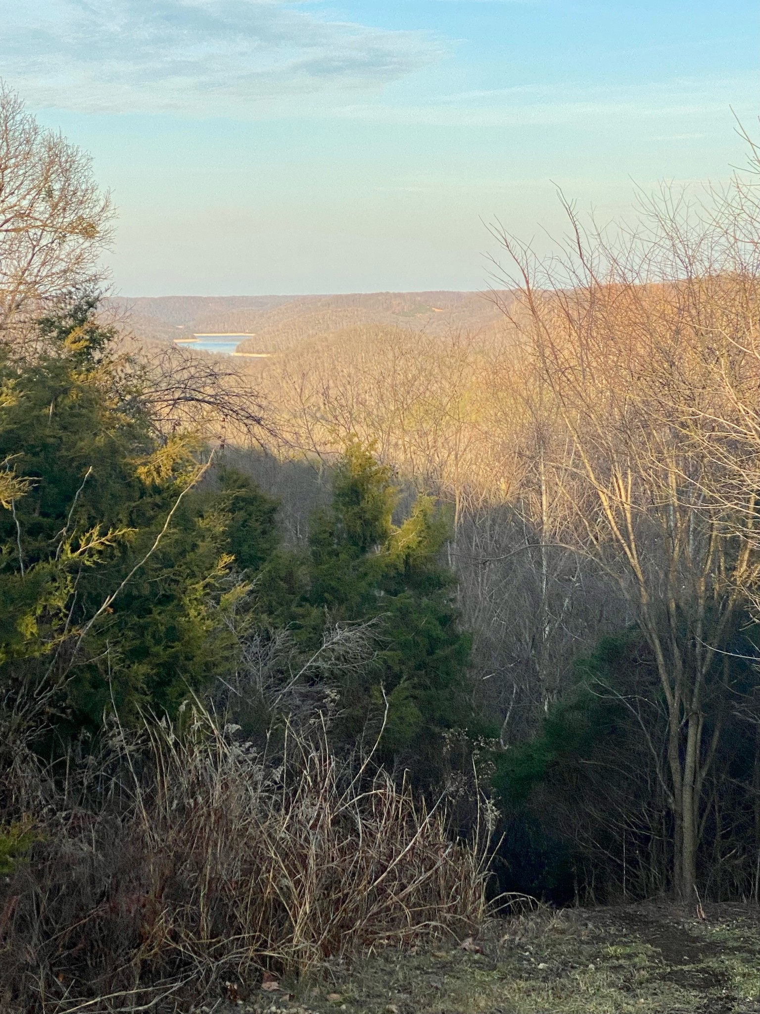 1166 Dale Ridge Road Dowelltown, TN 37059 - Photo 43 of 69