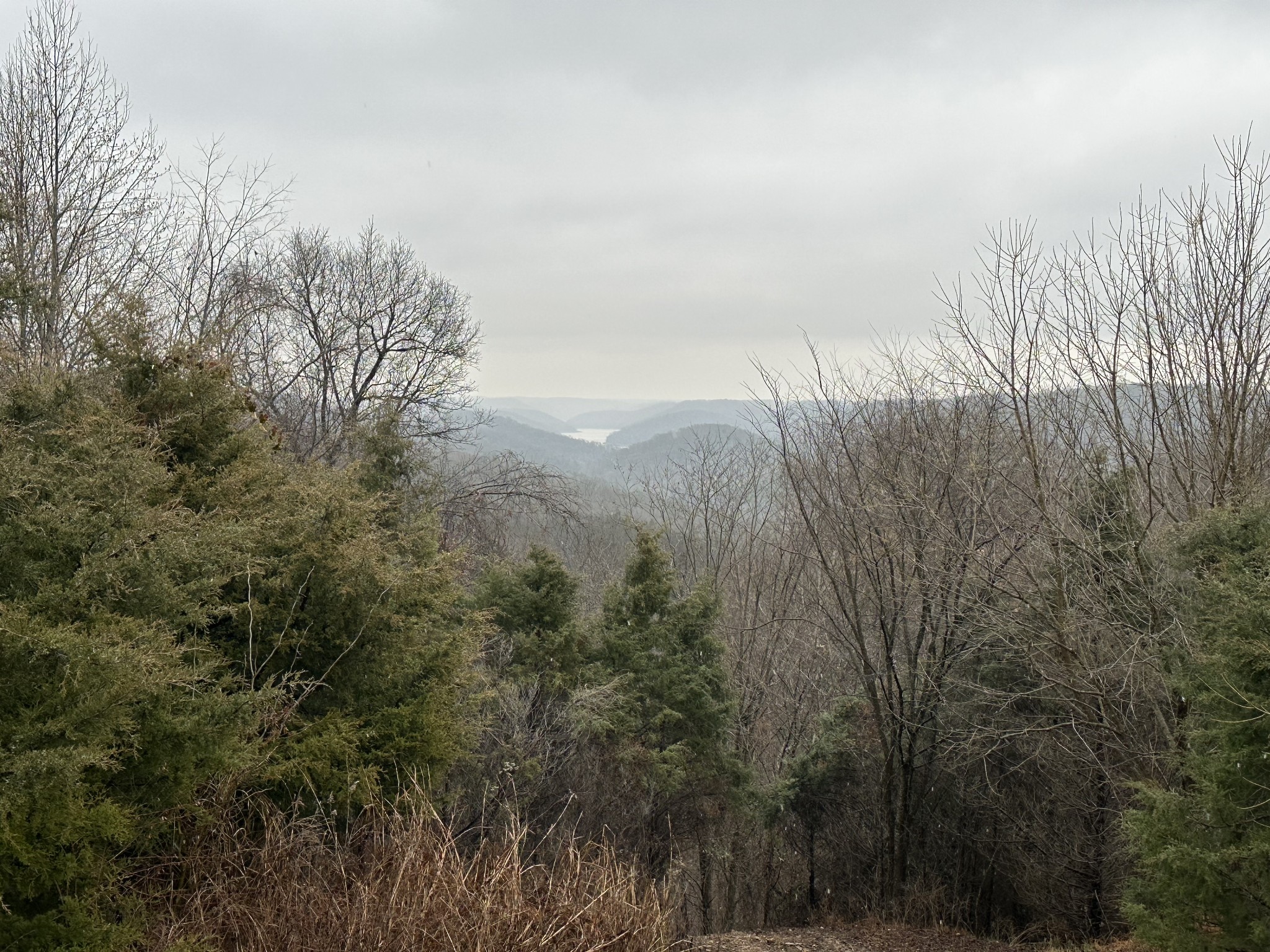 1166 Dale Ridge Road Dowelltown, TN 37059 - Photo 44 of 69