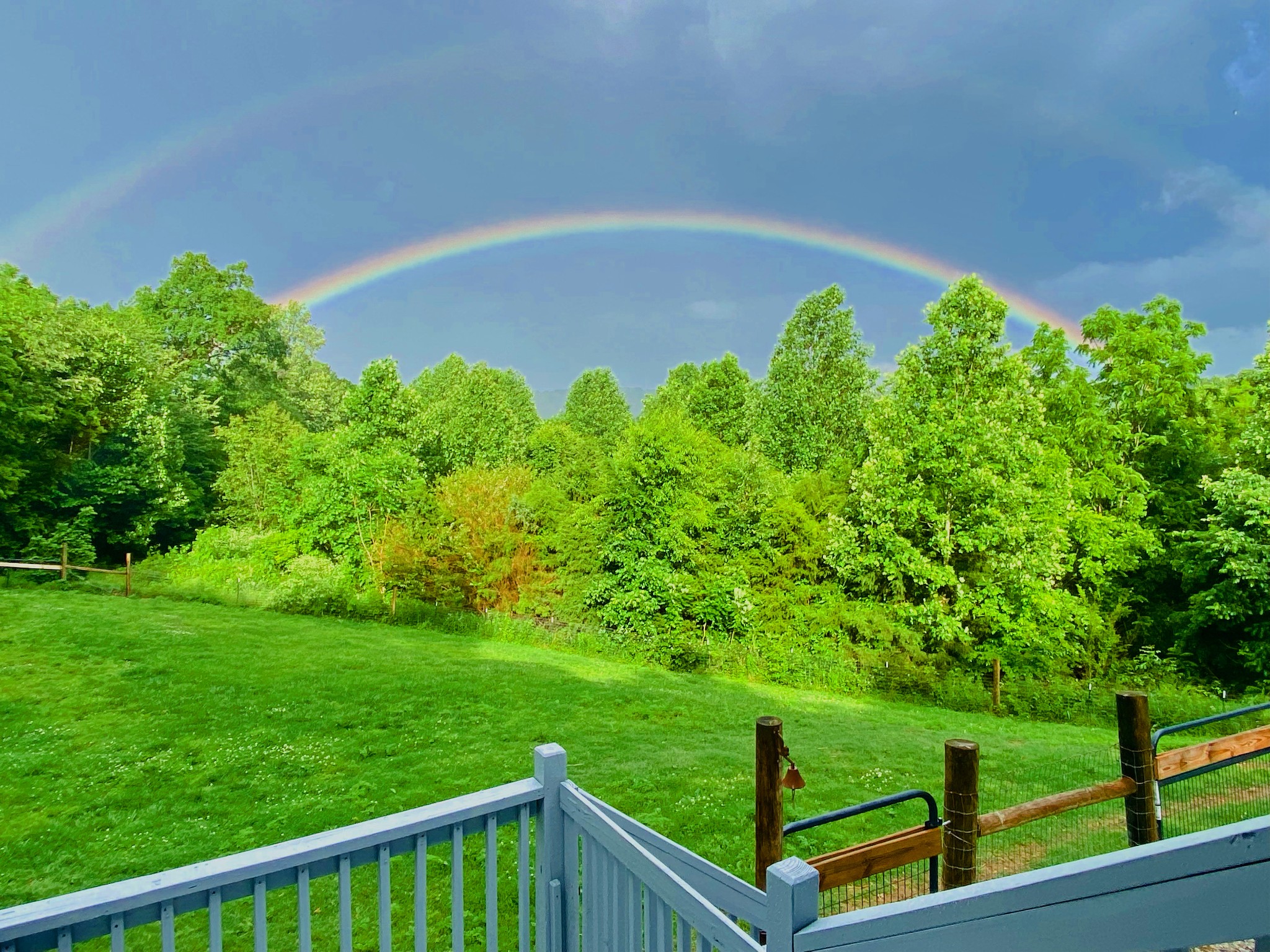 1166 Dale Ridge Road Dowelltown, TN 37059 - Photo 45 of 69 a view of a backyard with plants