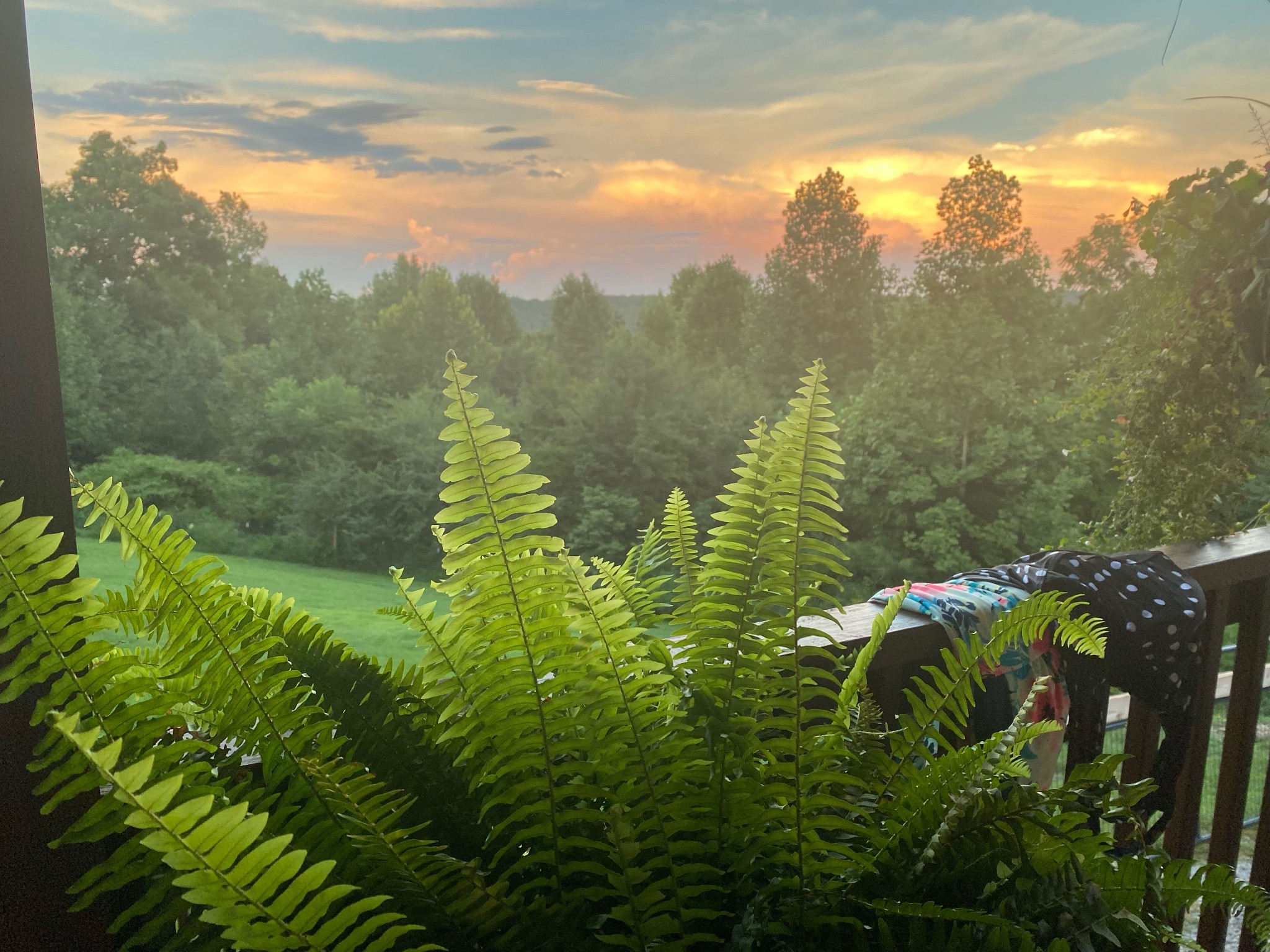 1166 Dale Ridge Road Dowelltown, TN 37059 - Photo 49 of 69 a view of a lake from a balcony