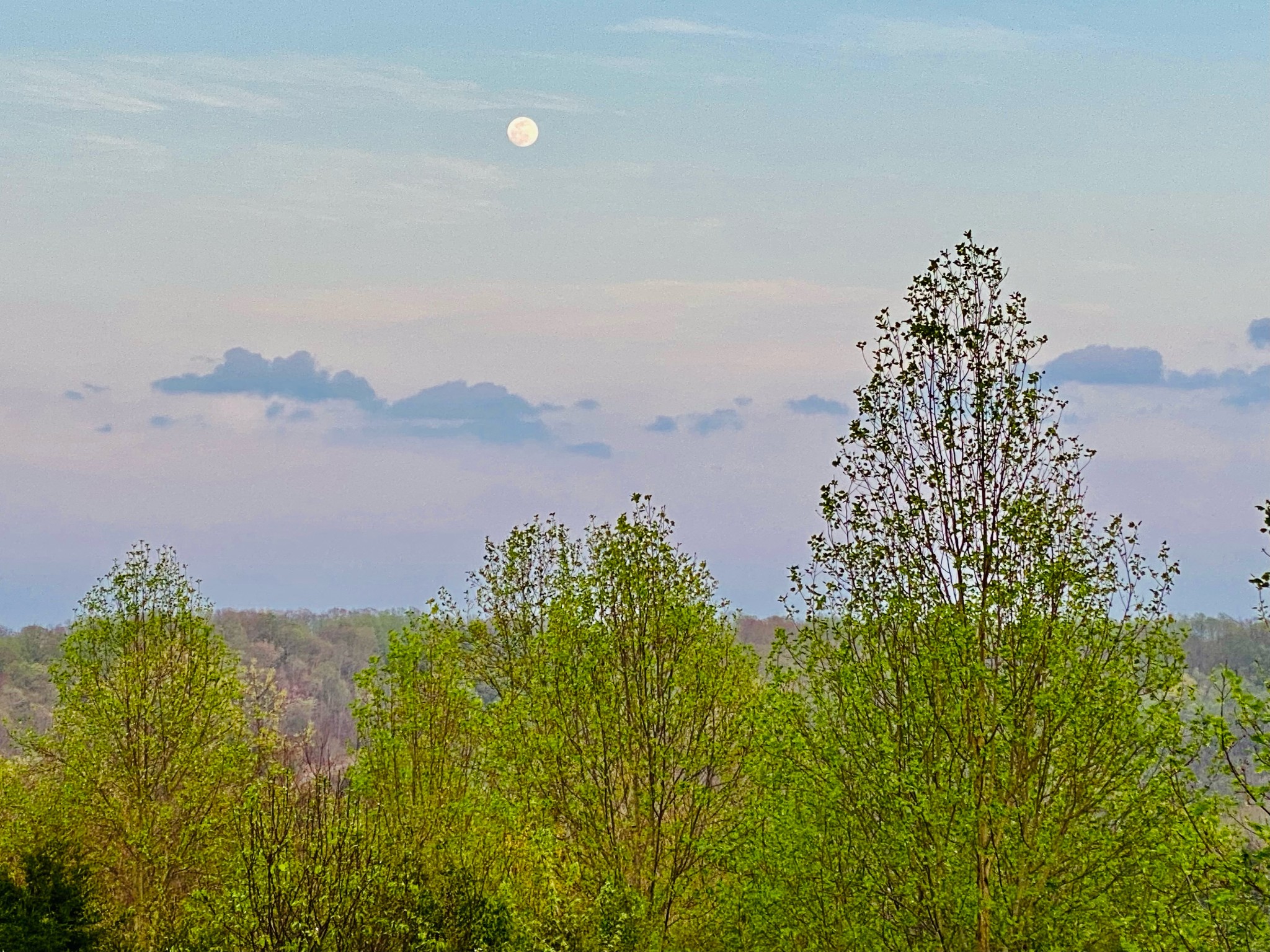 1166 Dale Ridge Road Dowelltown, TN 37059 - Photo 50 of 69