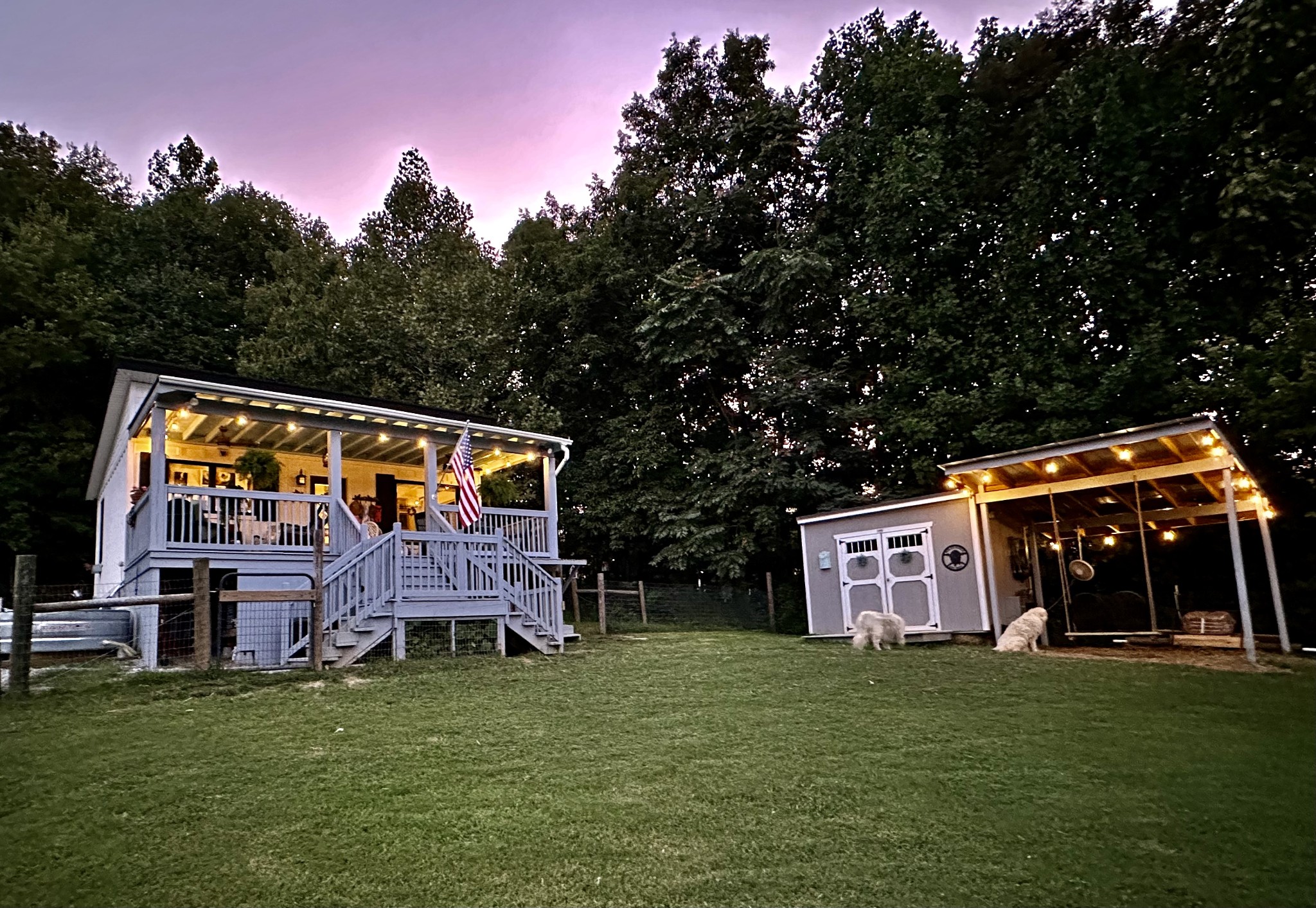 1166 Dale Ridge Road Dowelltown, TN 37059 - Photo 54 of 69 a view of a big yard with potted plants and large trees