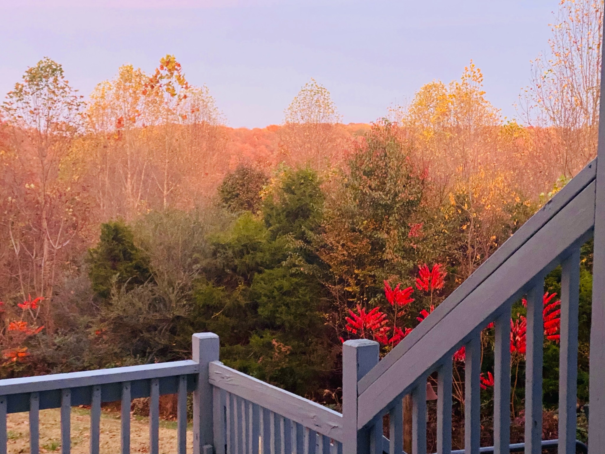 1166 Dale Ridge Road Dowelltown, TN 37059 - Photo 57 of 69 a view of a trees in front of a house