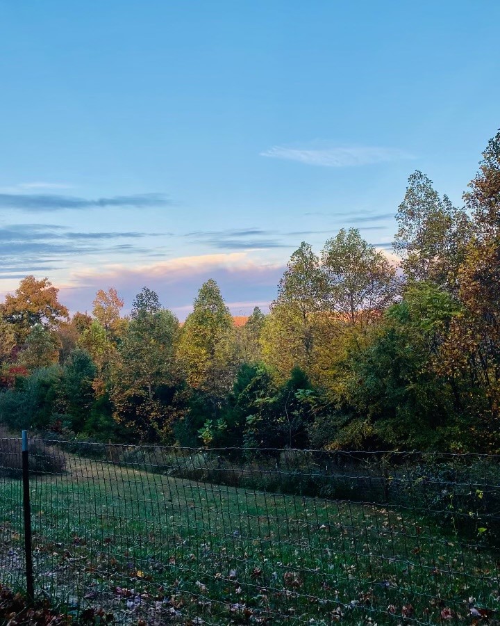 1166 Dale Ridge Road Dowelltown, TN 37059 - Photo 58 of 69 a view of a yard with a house