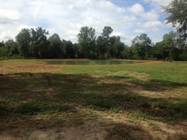 55348 Easley Road Loranger, LA 70446 - Photo 5 of 5