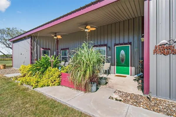 a potted plant sitting in front of a house