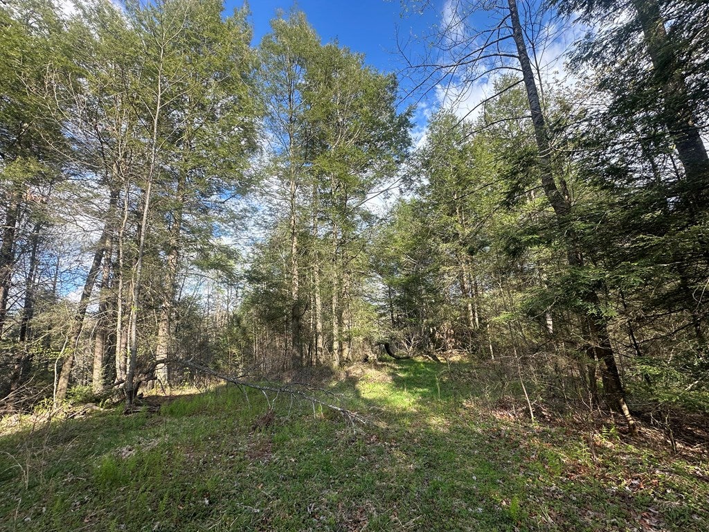 0 Shades Of Death Road Danese, WV 25831 - Photo 23 of 38 Gallery Image 23