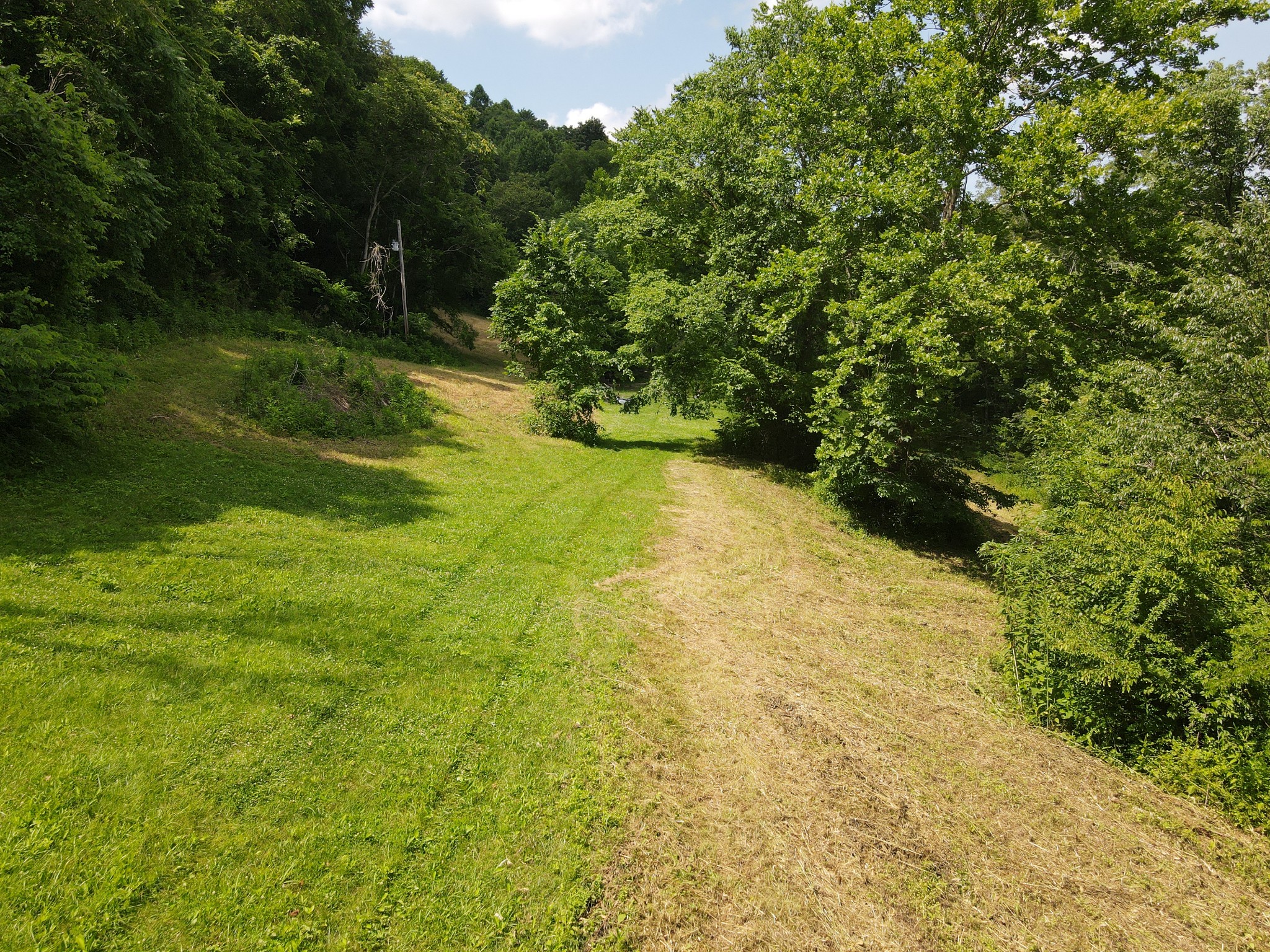 391 Difficult Road Pleasant Shade, TN 37145 - Photo 11 of 28 a view of yard with green space