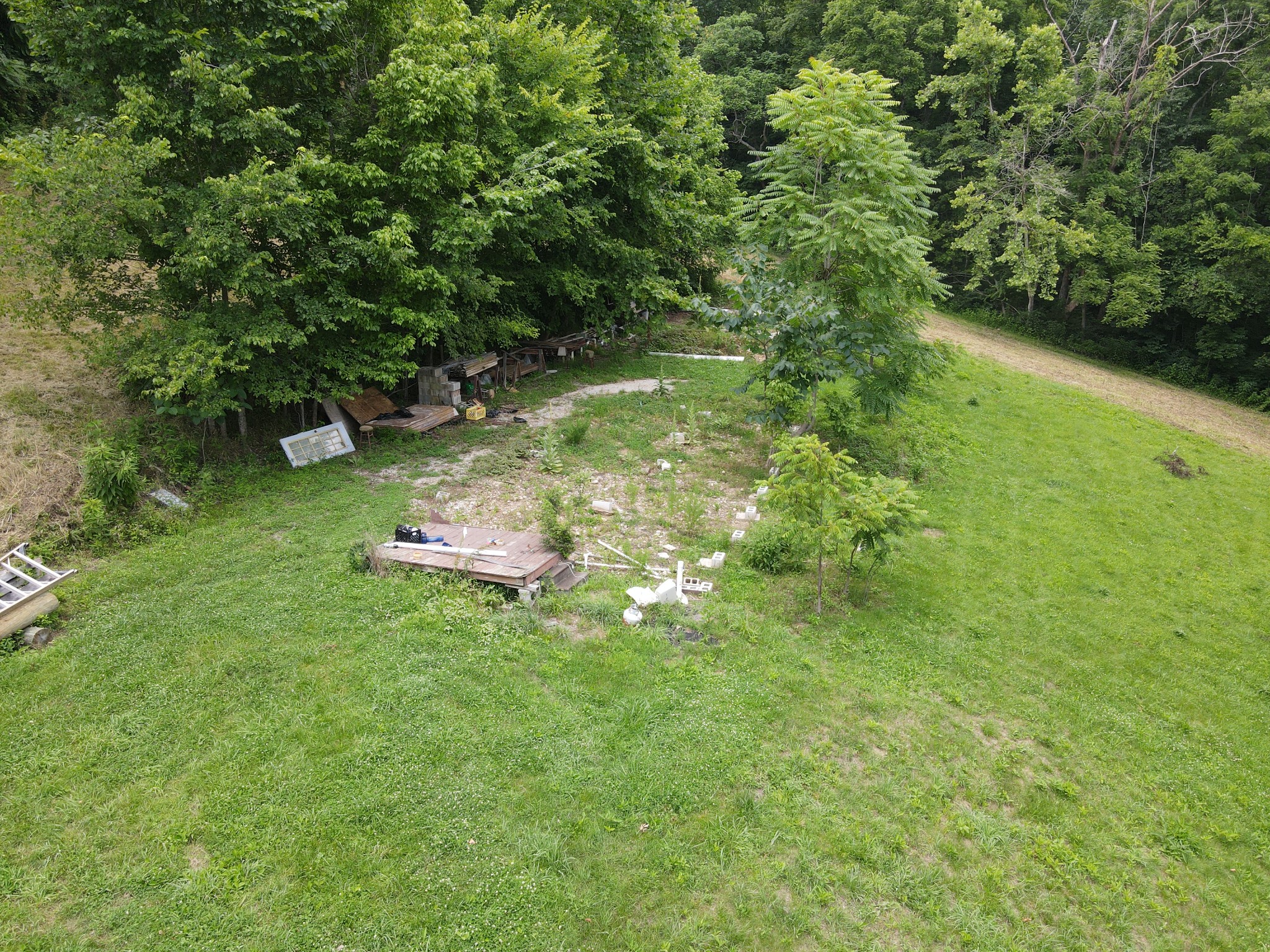 391 Difficult Road Pleasant Shade, TN 37145 - Photo 13 of 28 a backyard of a house with lots of green space