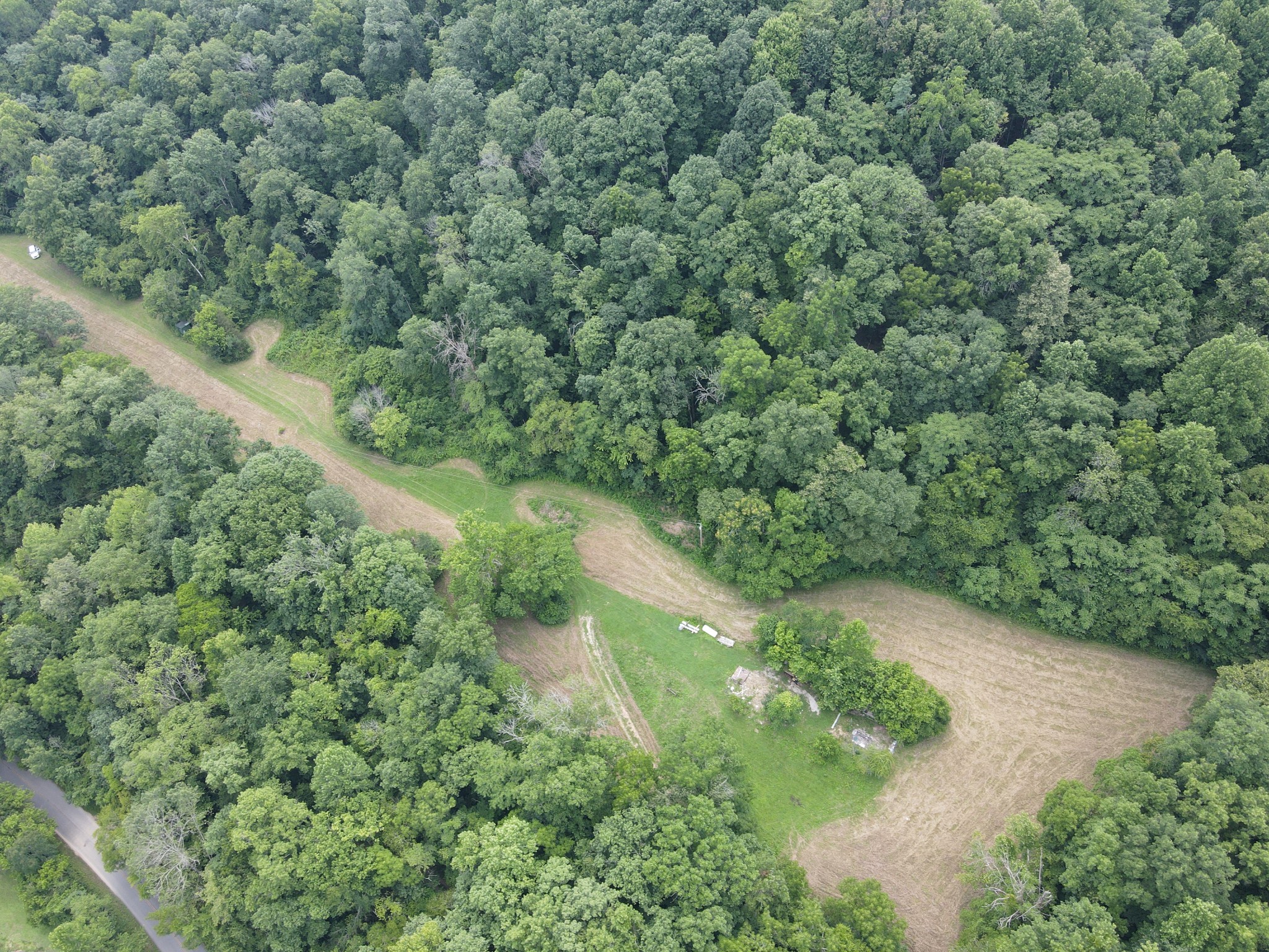 391 Difficult Road Pleasant Shade, TN 37145 - Photo 14 of 28 an aerial view of a forest with houses