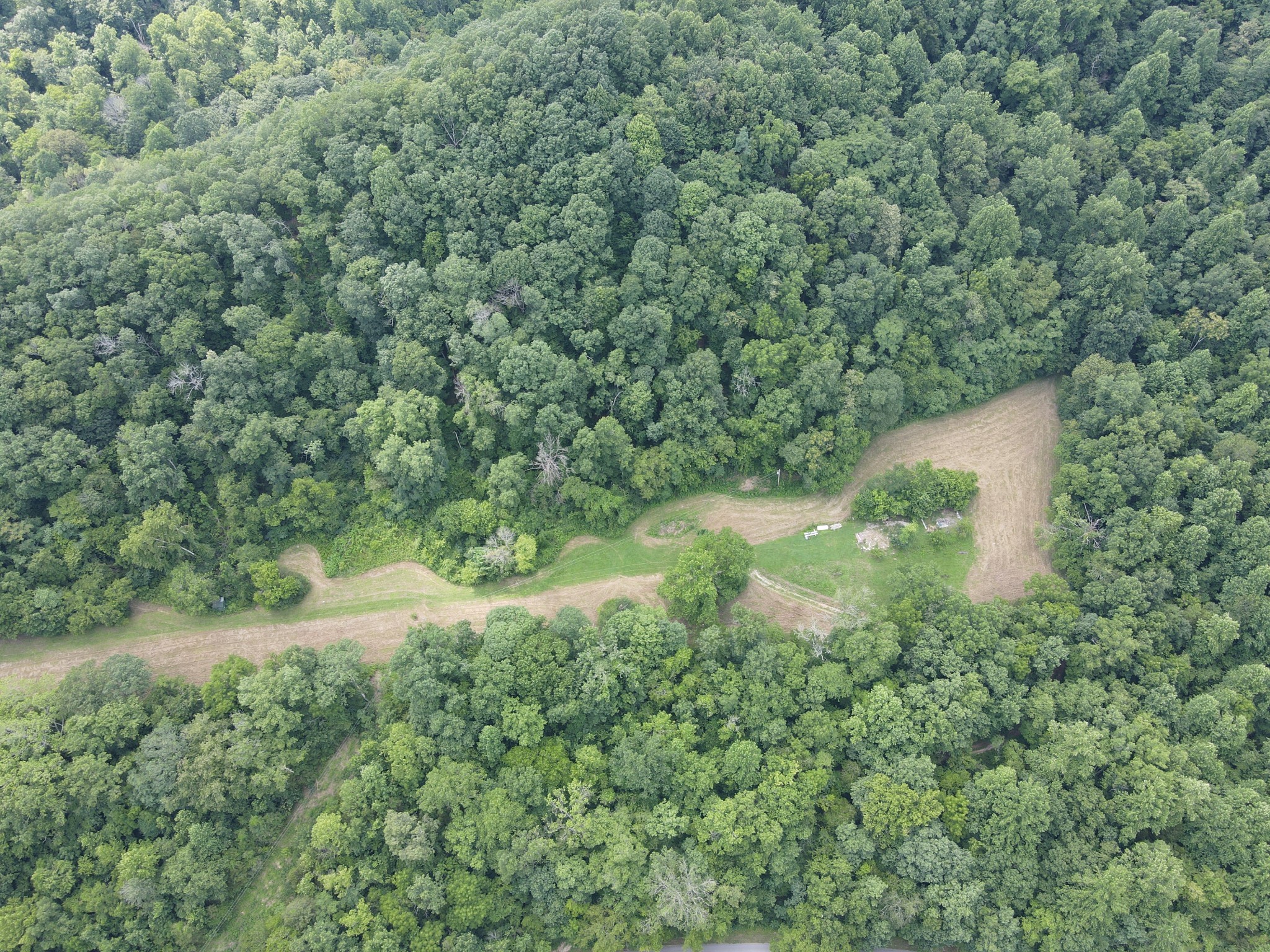 391 Difficult Road Pleasant Shade, TN 37145 - Photo 15 of 28 a view of a forest with a street