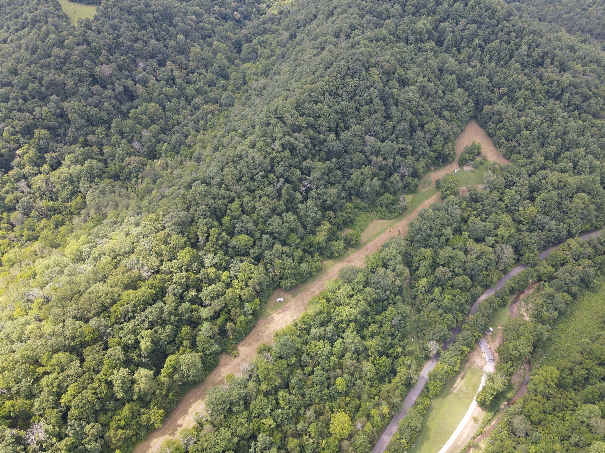 391 Difficult Road Pleasant Shade, TN 37145 - Photo 16 of 28 a view of a forest with a tree