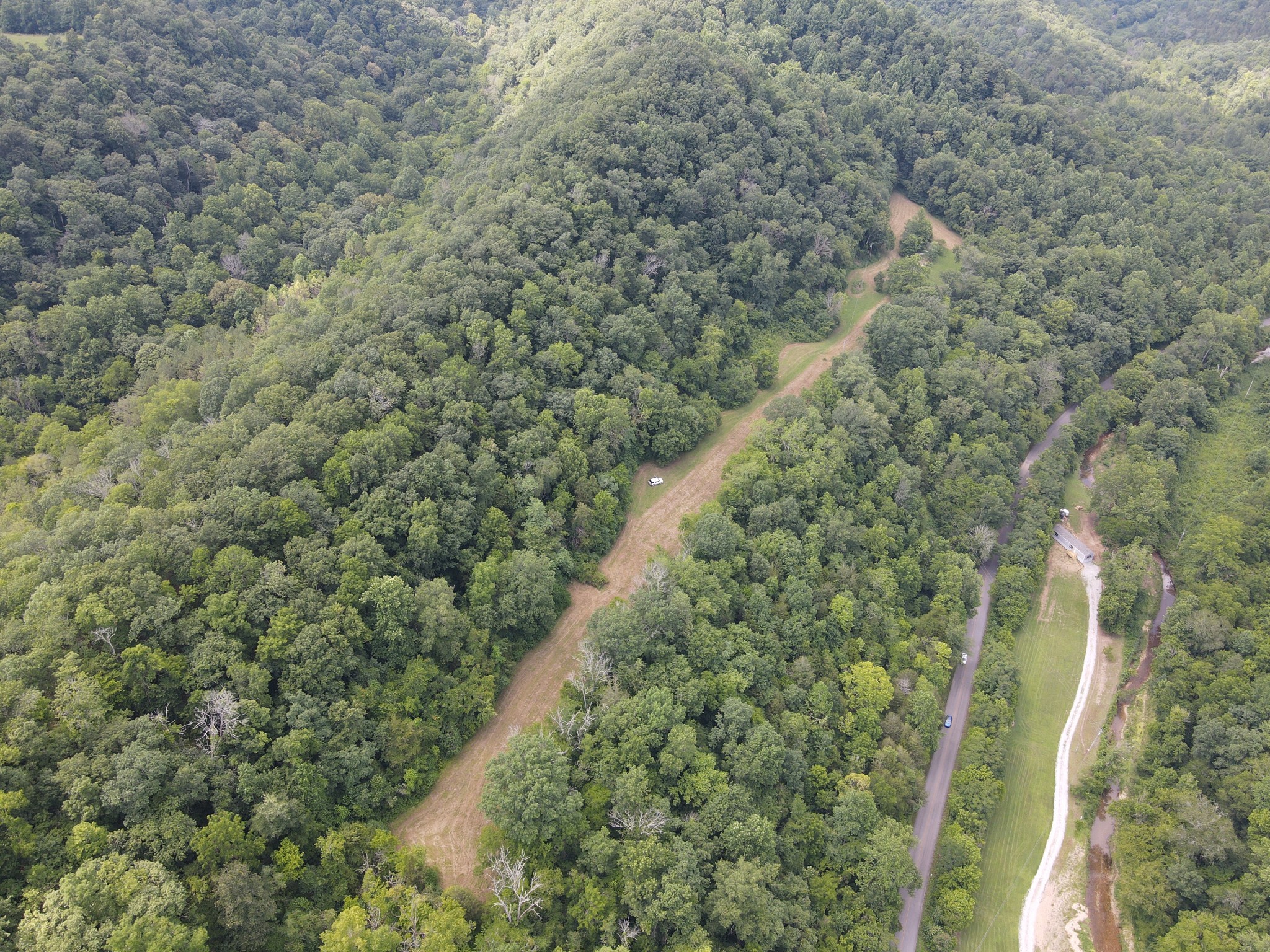 391 Difficult Road Pleasant Shade, TN 37145 - Photo 17 of 28 a view of a forest with a tree
