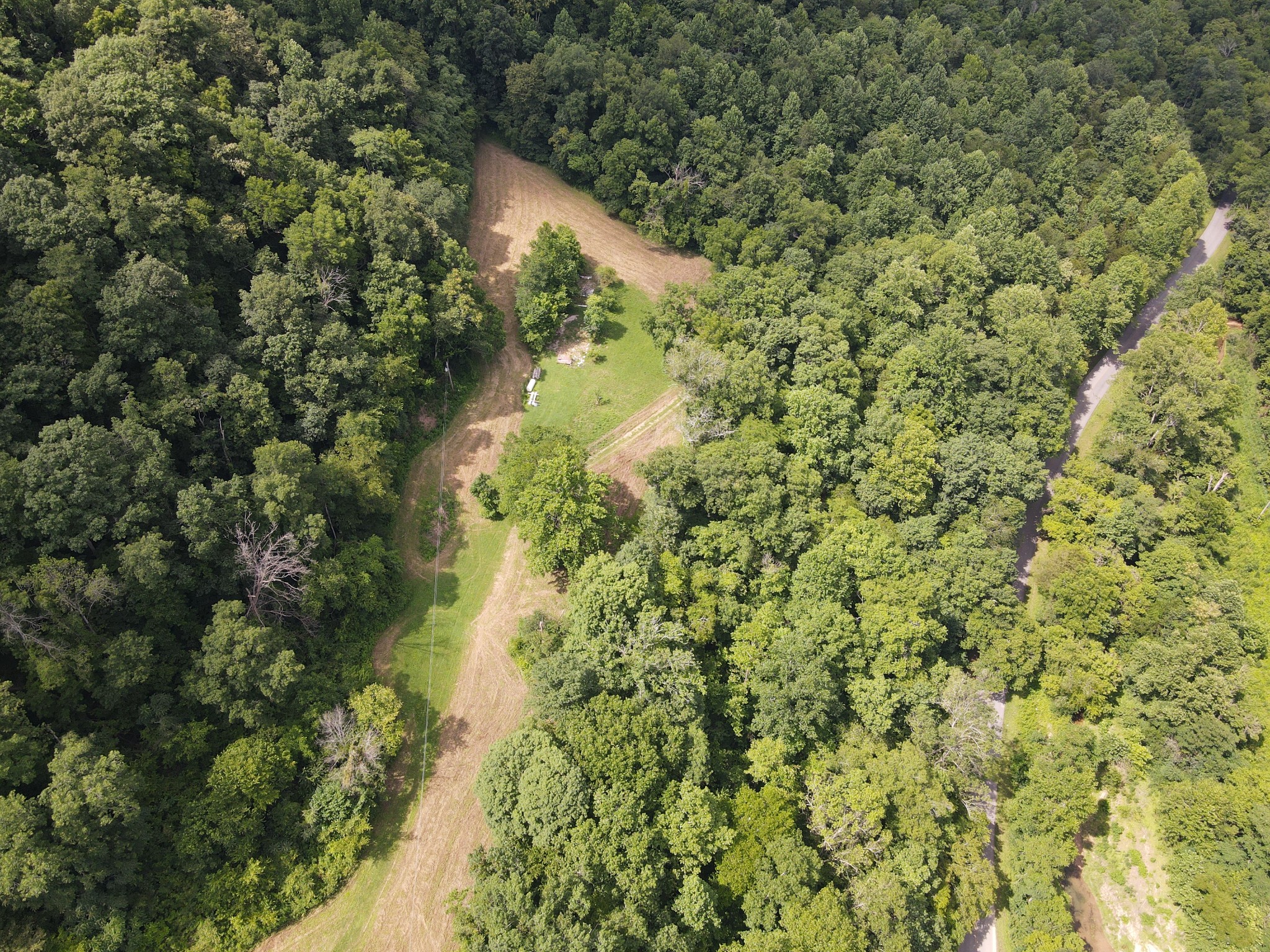 391 Difficult Road Pleasant Shade, TN 37145 - Photo 18 of 28 a view of a forest with a tree