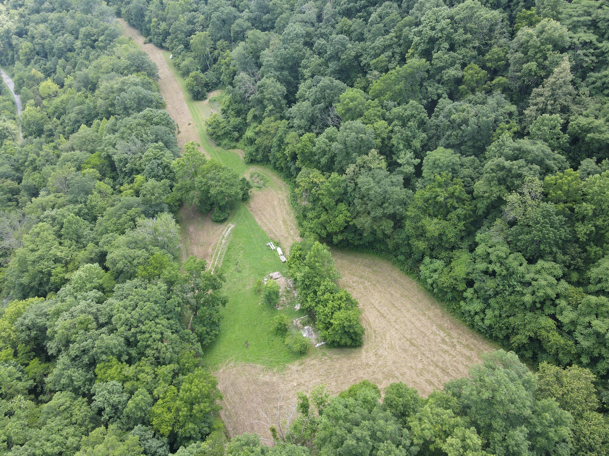 391 Difficult Road Pleasant Shade, TN 37145 - Photo 19 of 28 a view of a forest with a street