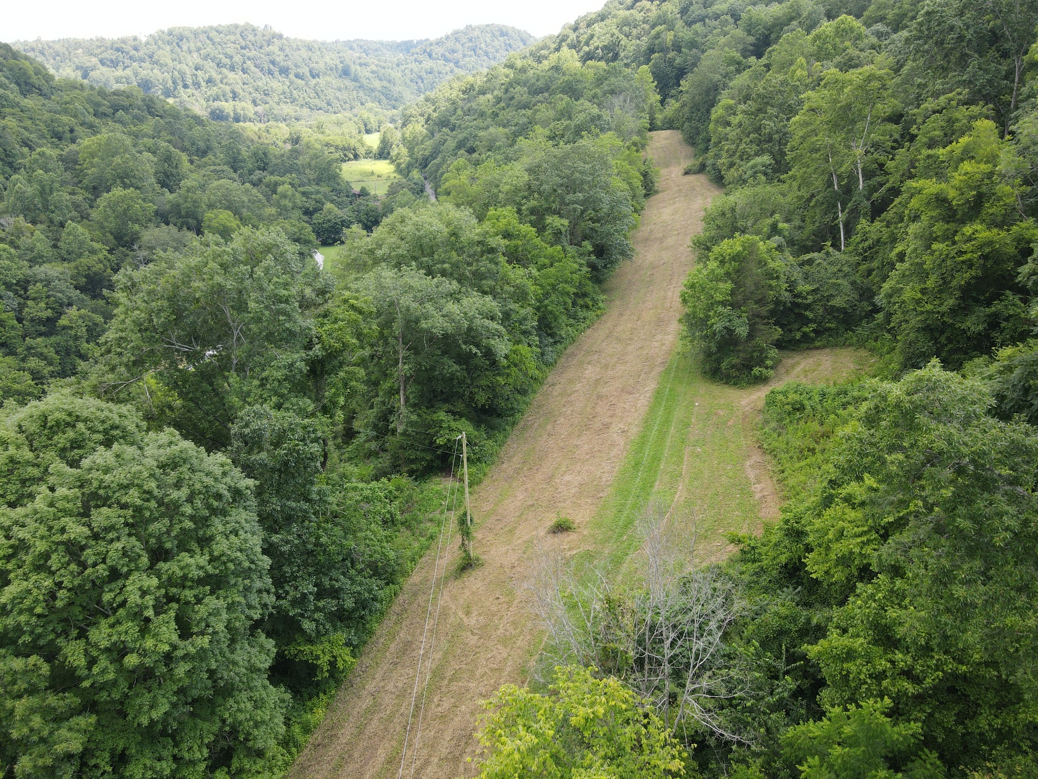 391 Difficult Road Pleasant Shade, TN 37145 - Photo 2 of 28 an aerial view of residential houses with outdoor space and trees