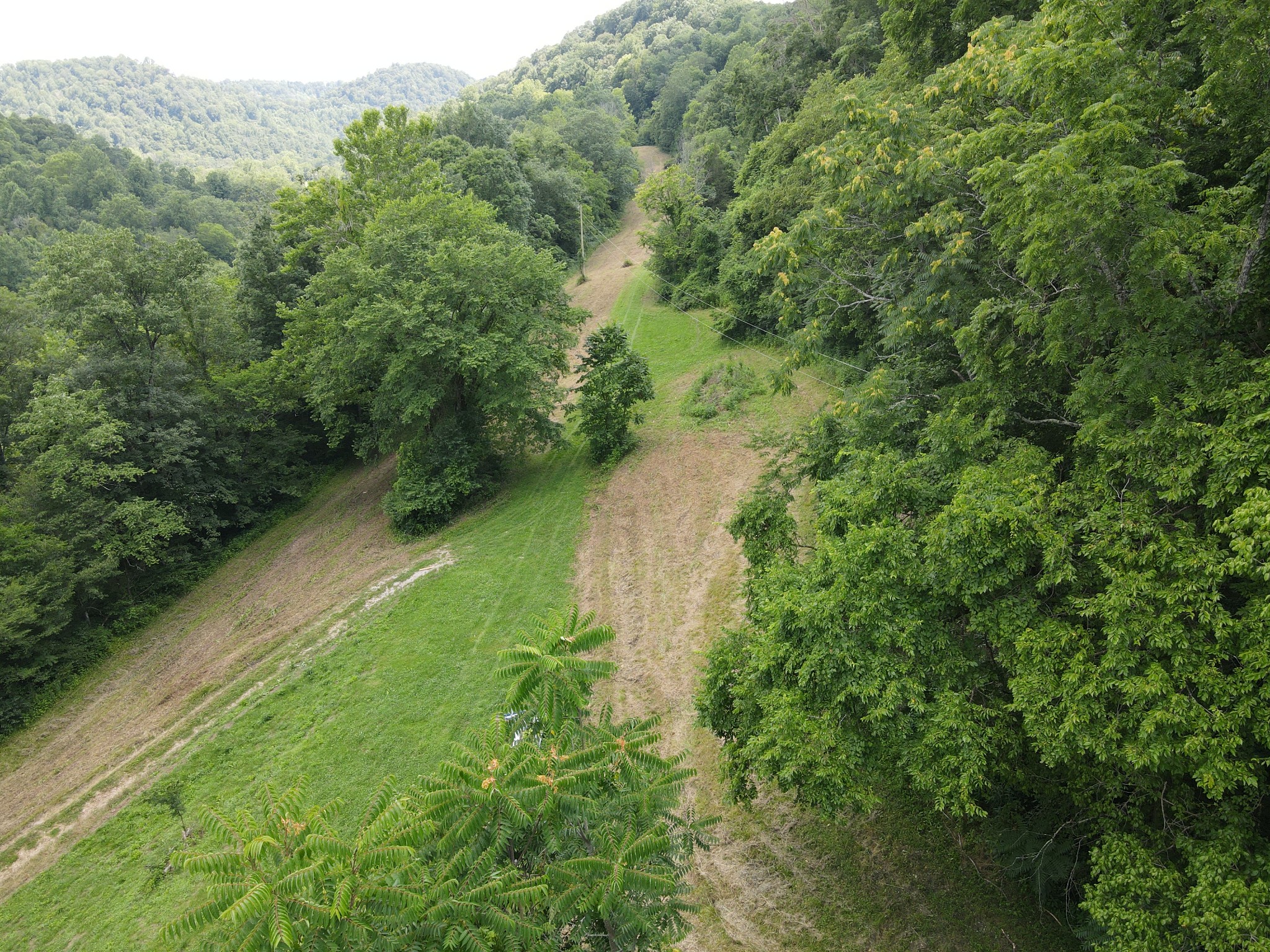 391 Difficult Road Pleasant Shade, TN 37145 - Photo 21 of 28 a lush green forest with lots of trees