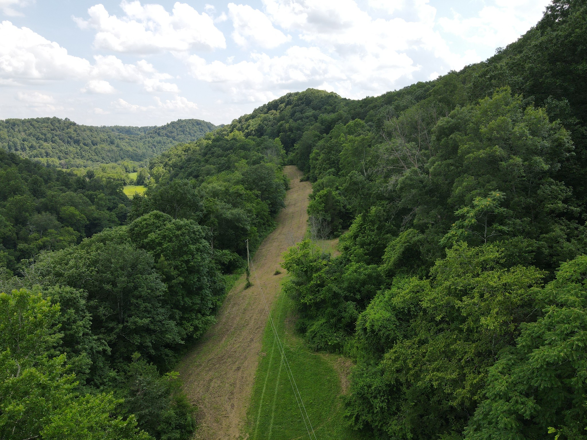 391 Difficult Road Pleasant Shade, TN 37145 - Photo 22 of 28 a view of a green field with lots of trees
