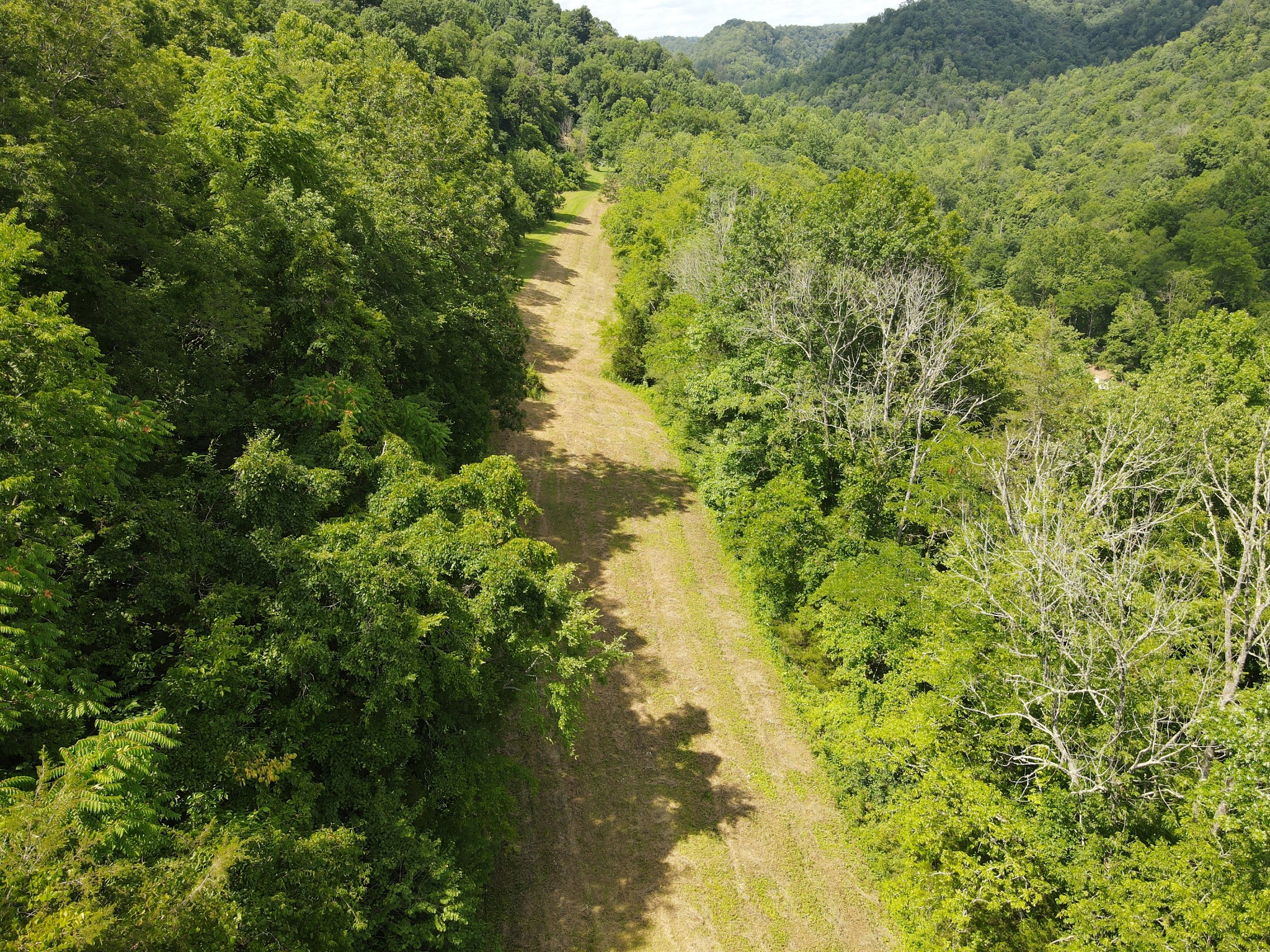 391 Difficult Road Pleasant Shade, TN 37145 - Photo 23 of 28 a view of a lake view