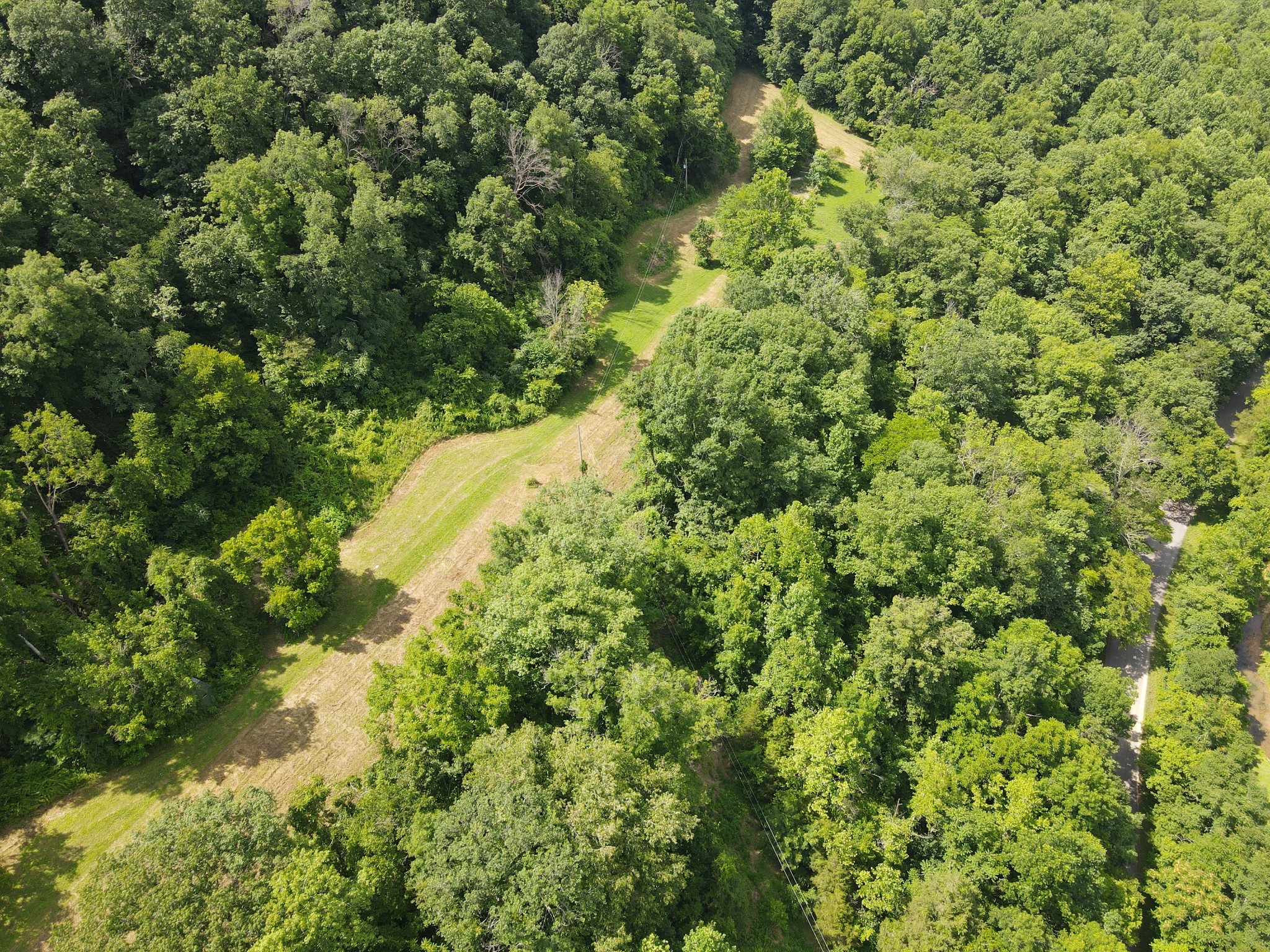 391 Difficult Road Pleasant Shade, TN 37145 - Photo 24 of 28 a view of a big yard with lots of bushes