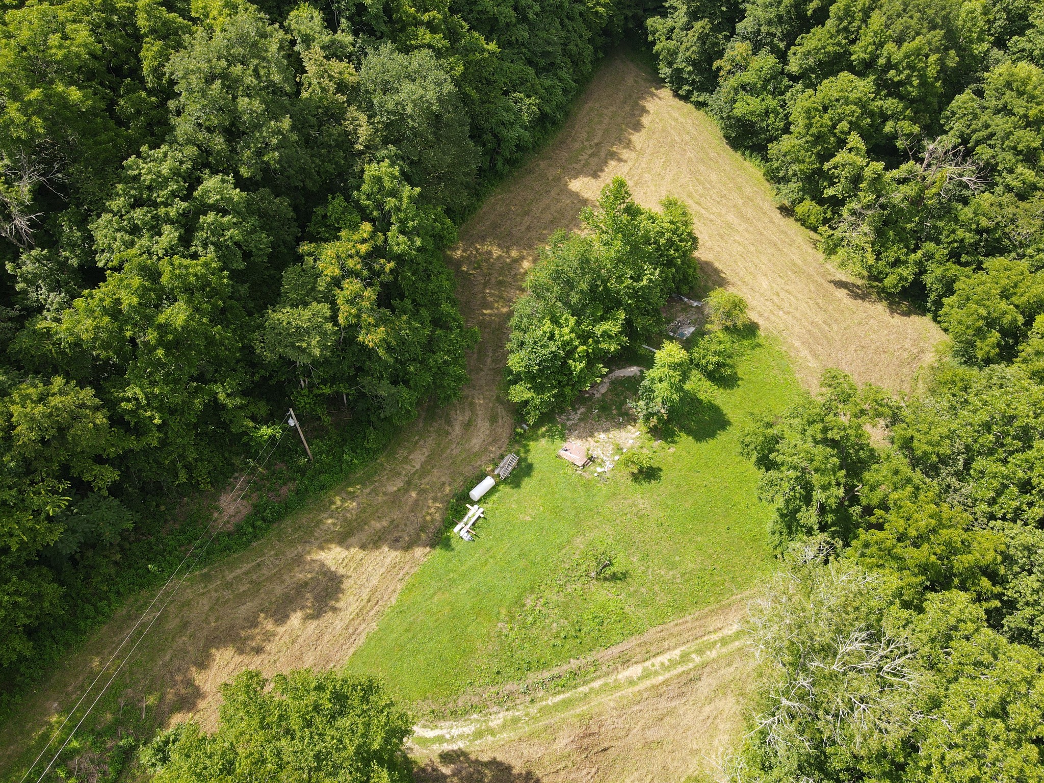 391 Difficult Road Pleasant Shade, TN 37145 - Photo 26 of 28 a view of a garden