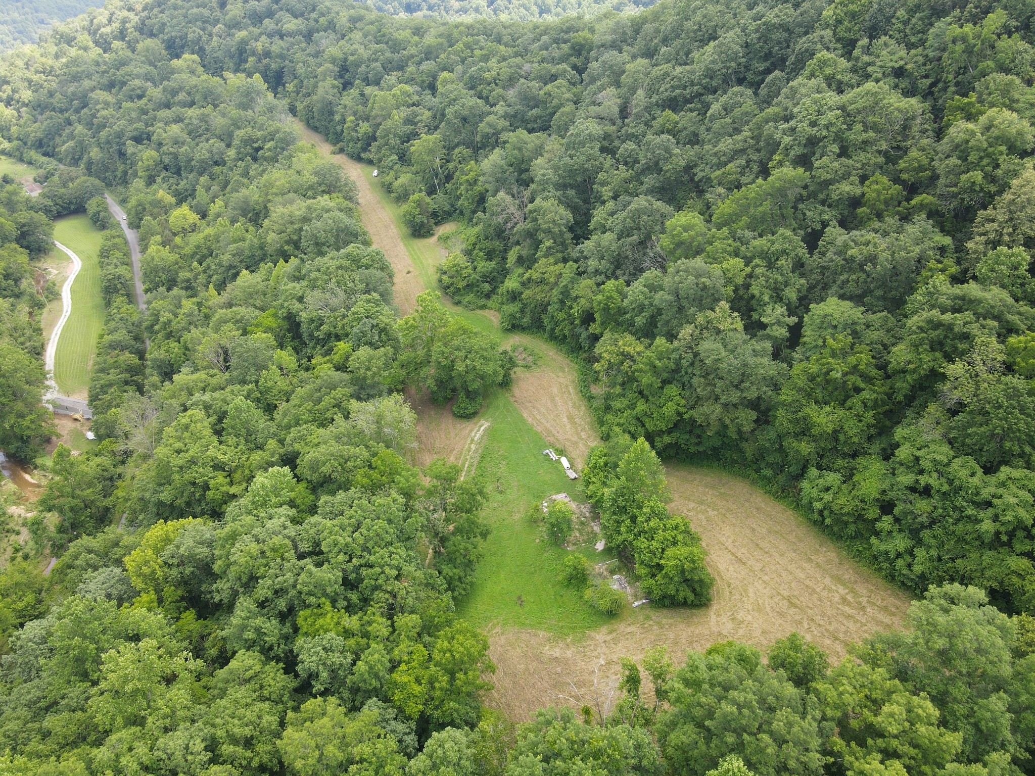 391 Difficult Road Pleasant Shade, TN 37145 - Photo 4 of 28 a view of a forest with a street