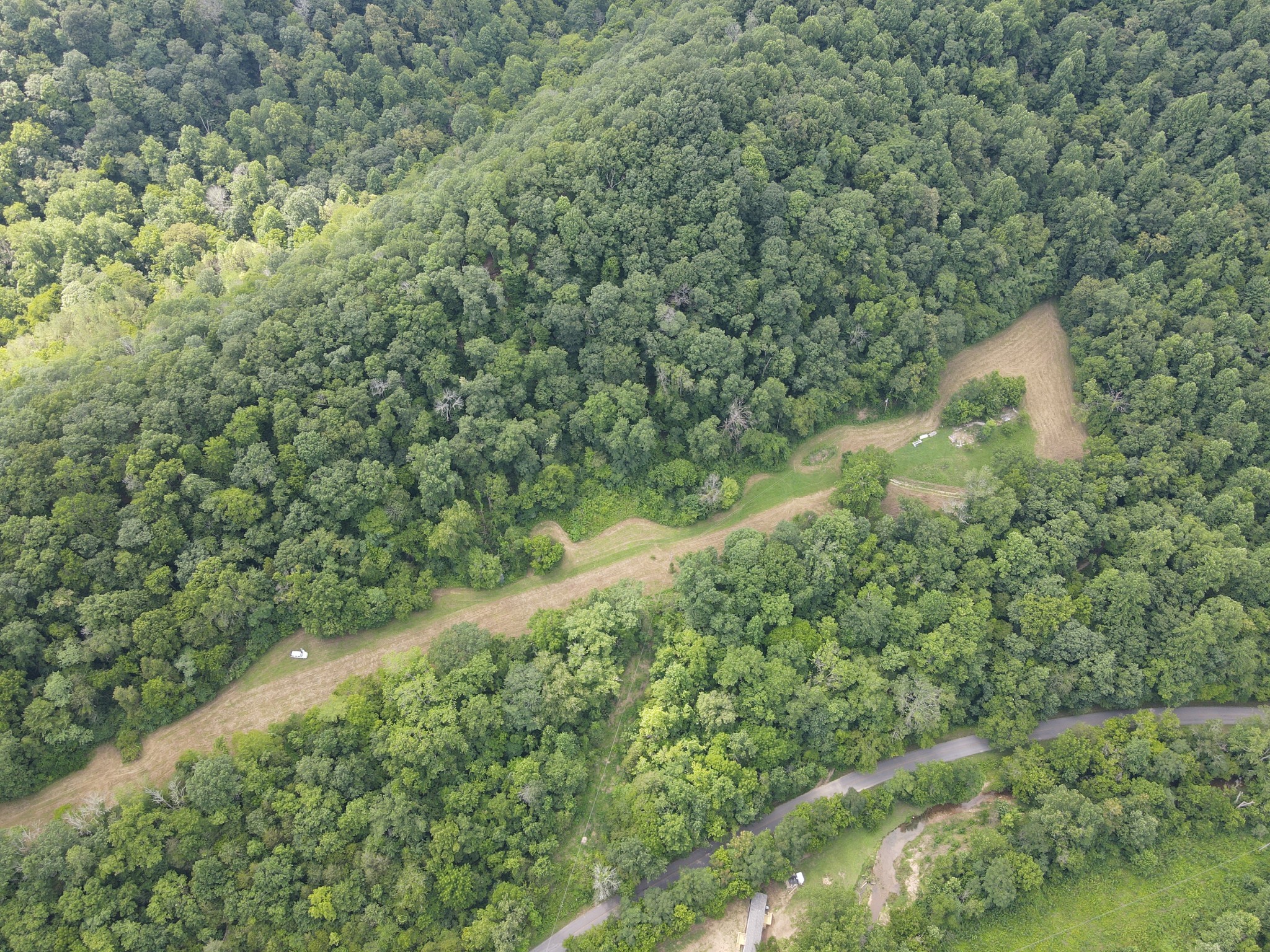 391 Difficult Road Pleasant Shade, TN 37145 - Photo 5 of 28 a view of a forest with a tree