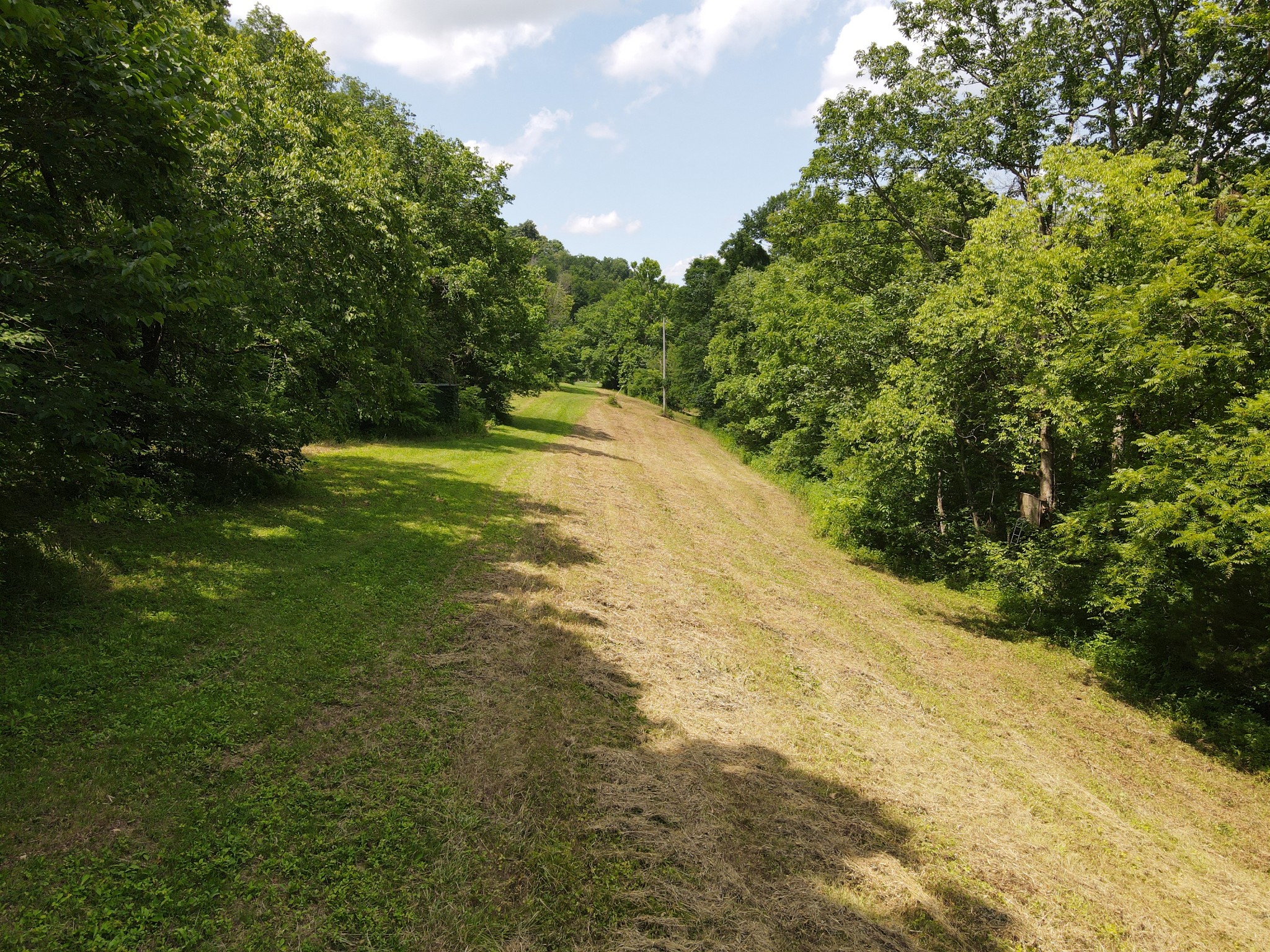 391 Difficult Road Pleasant Shade, TN 37145 - Photo 9 of 28 a view of a yard with a house