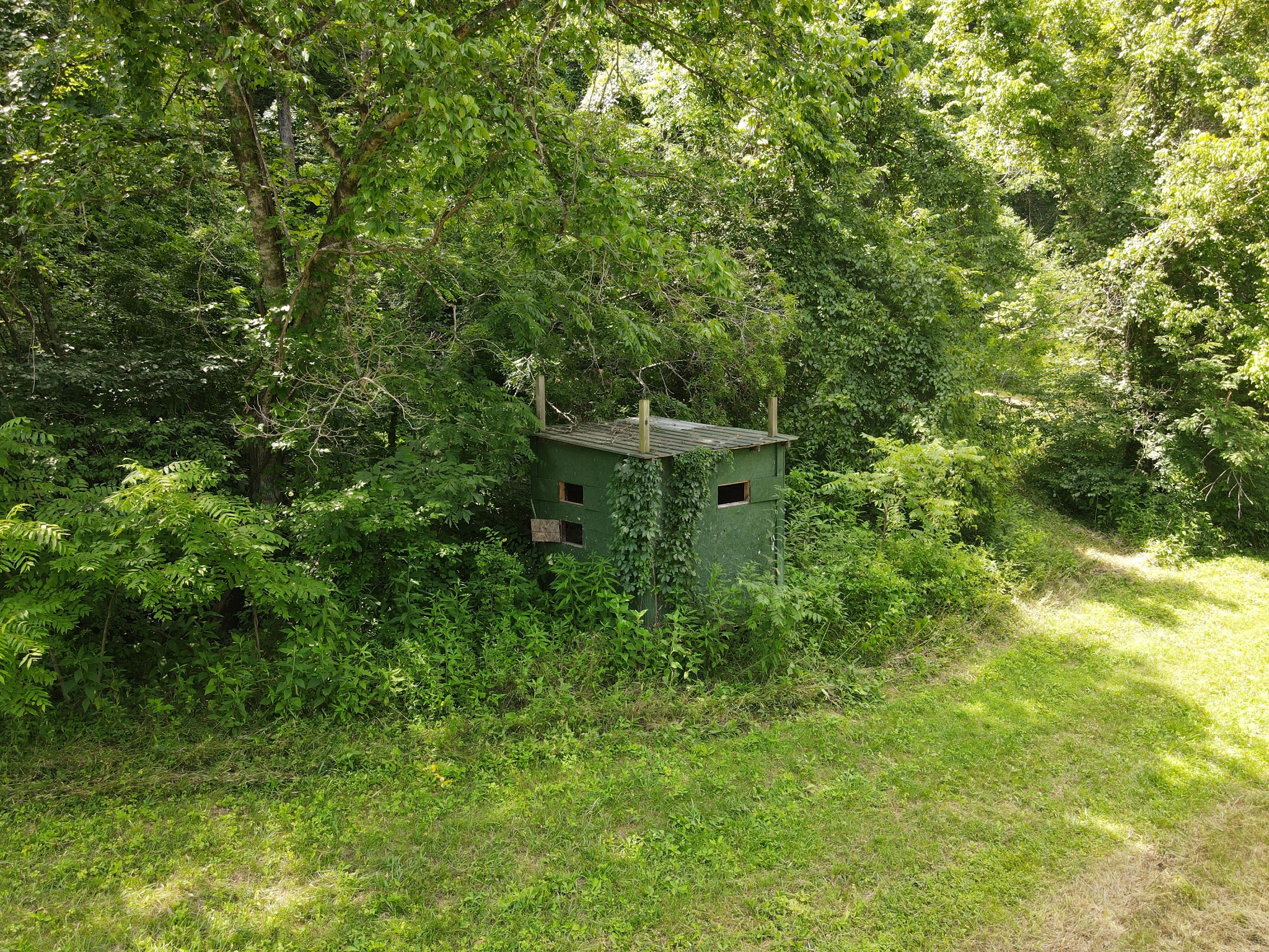 391 Difficult Road Pleasant Shade, TN 37145 - Photo 10 of 28 a view of a forest