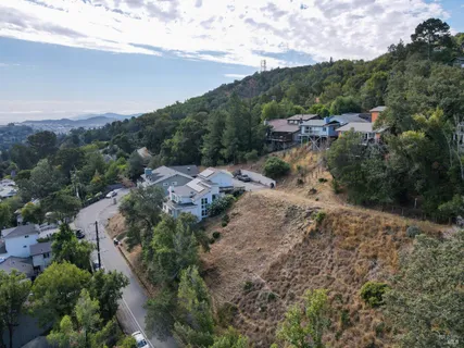 an aerial view of green landscape with trees houses and mountain view
