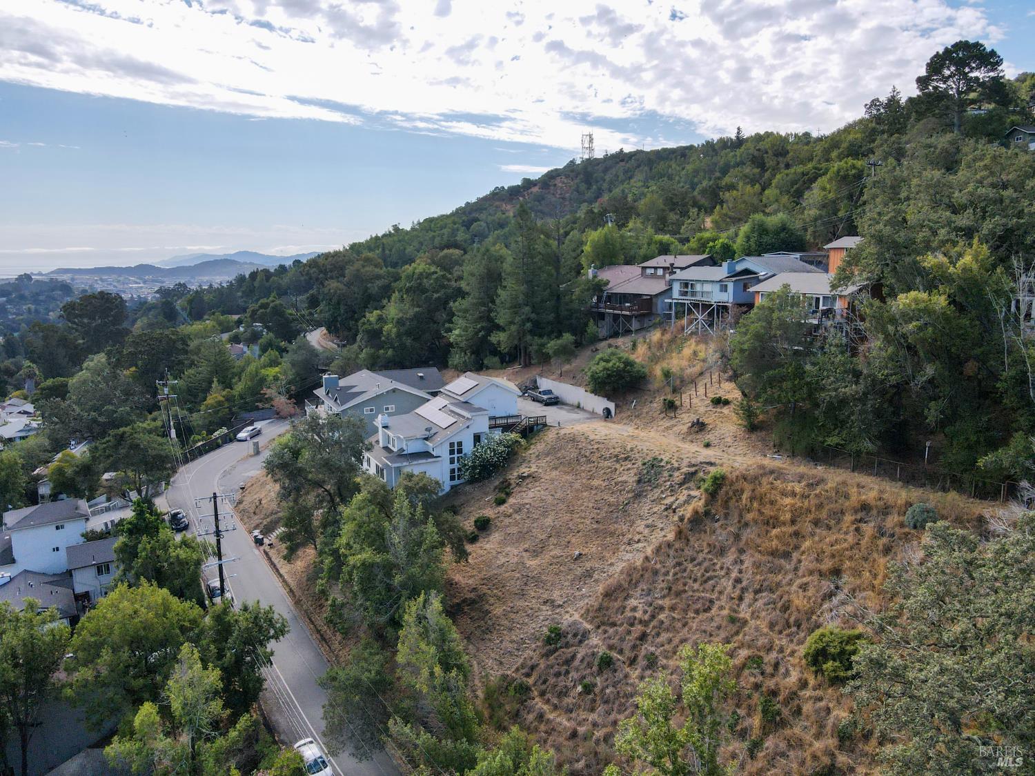 an aerial view of green landscape with trees houses and mountain view