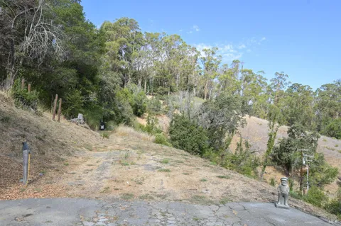 a view of a dry yard with trees in the background