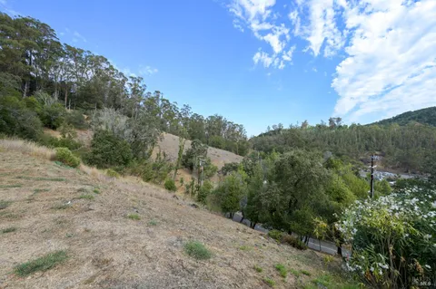 a view of a dry yard with green space