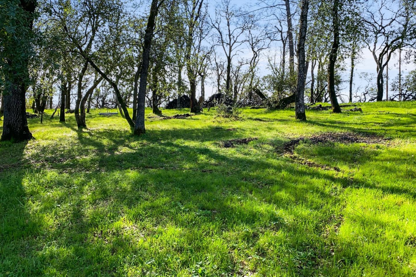 19789 Weide Way Anderson, CA 96007 - Photo 45 of 64