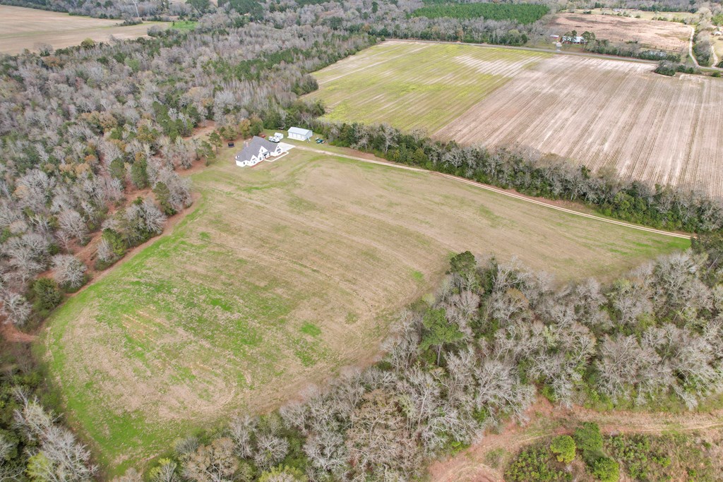 1335 Strong Road Ashford, AL 36312 - Photo 78 of 95