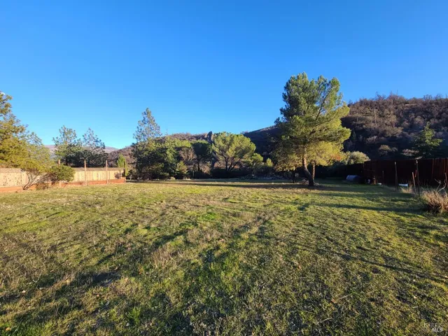 a view of a field with a tree
